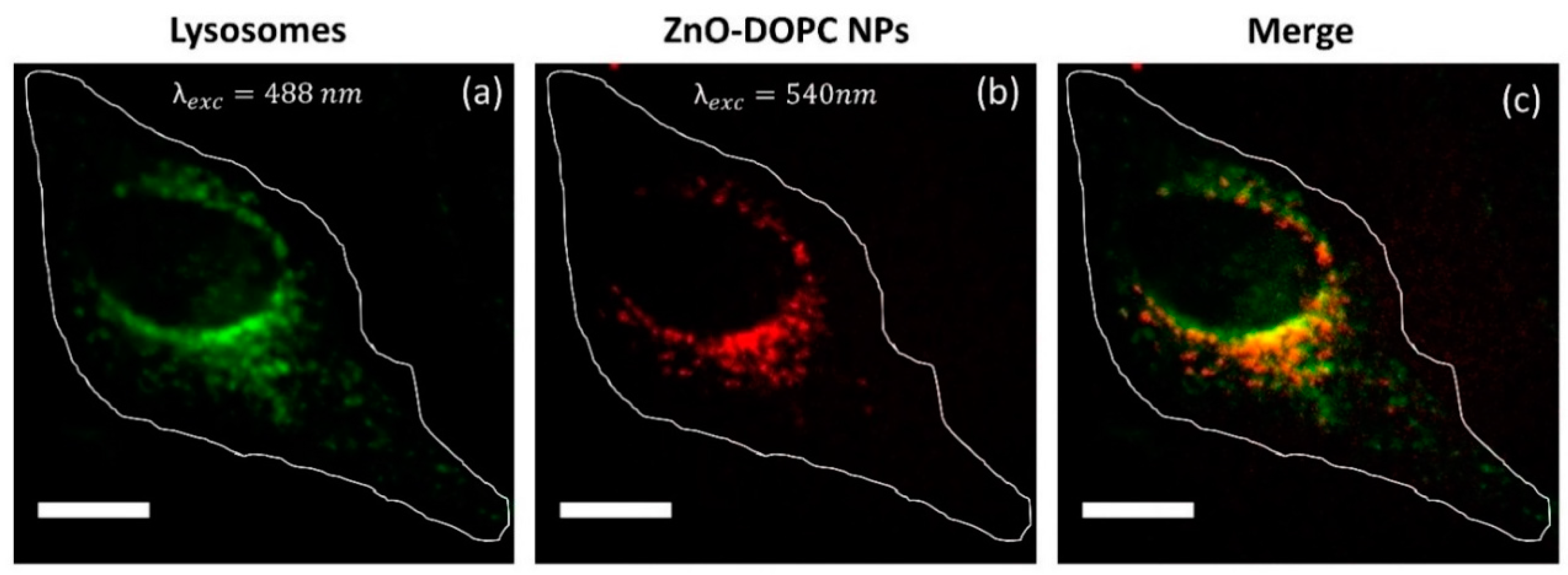 Nanomaterials 08 00143 g008