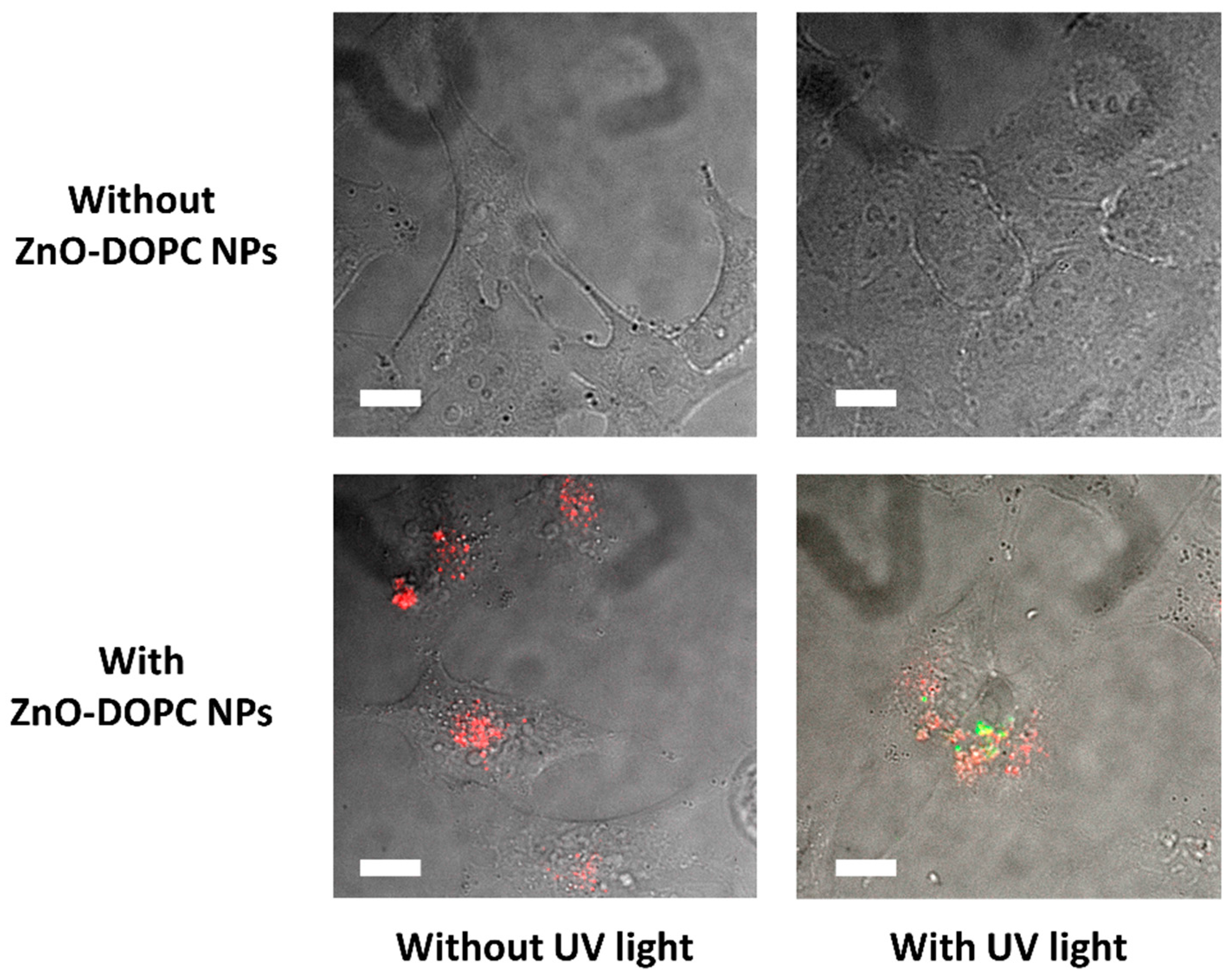 Nanomaterials 08 00143 g009