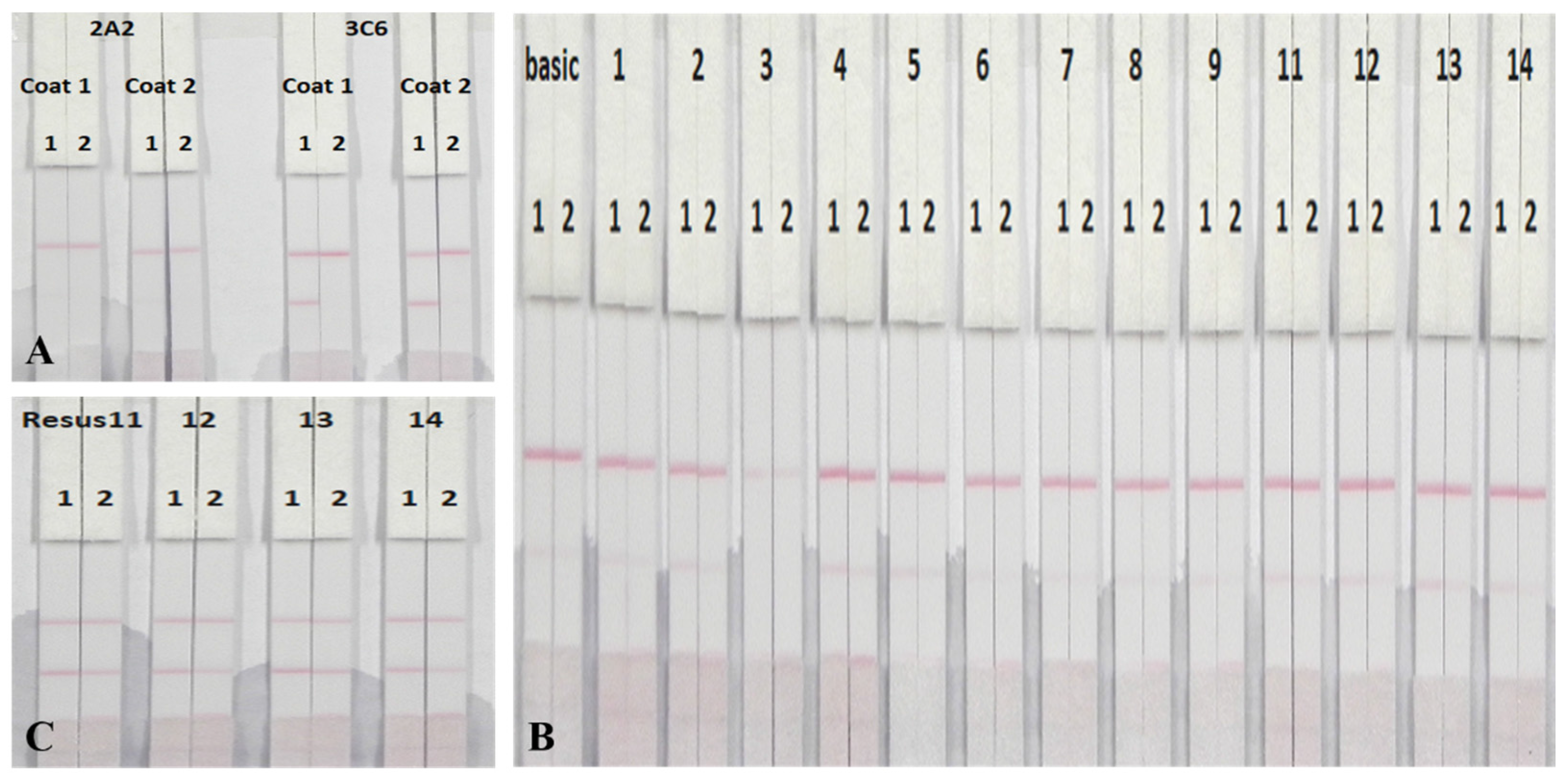 Nanomaterials 08 00144 g007 Nanomaterials 08 00144 g007