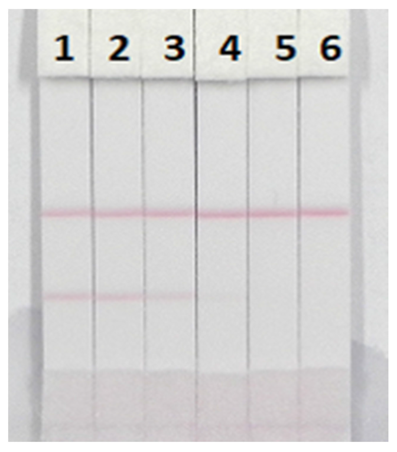 Nanomaterials 08 00144 g008 Nanomaterials 08 00144 g008