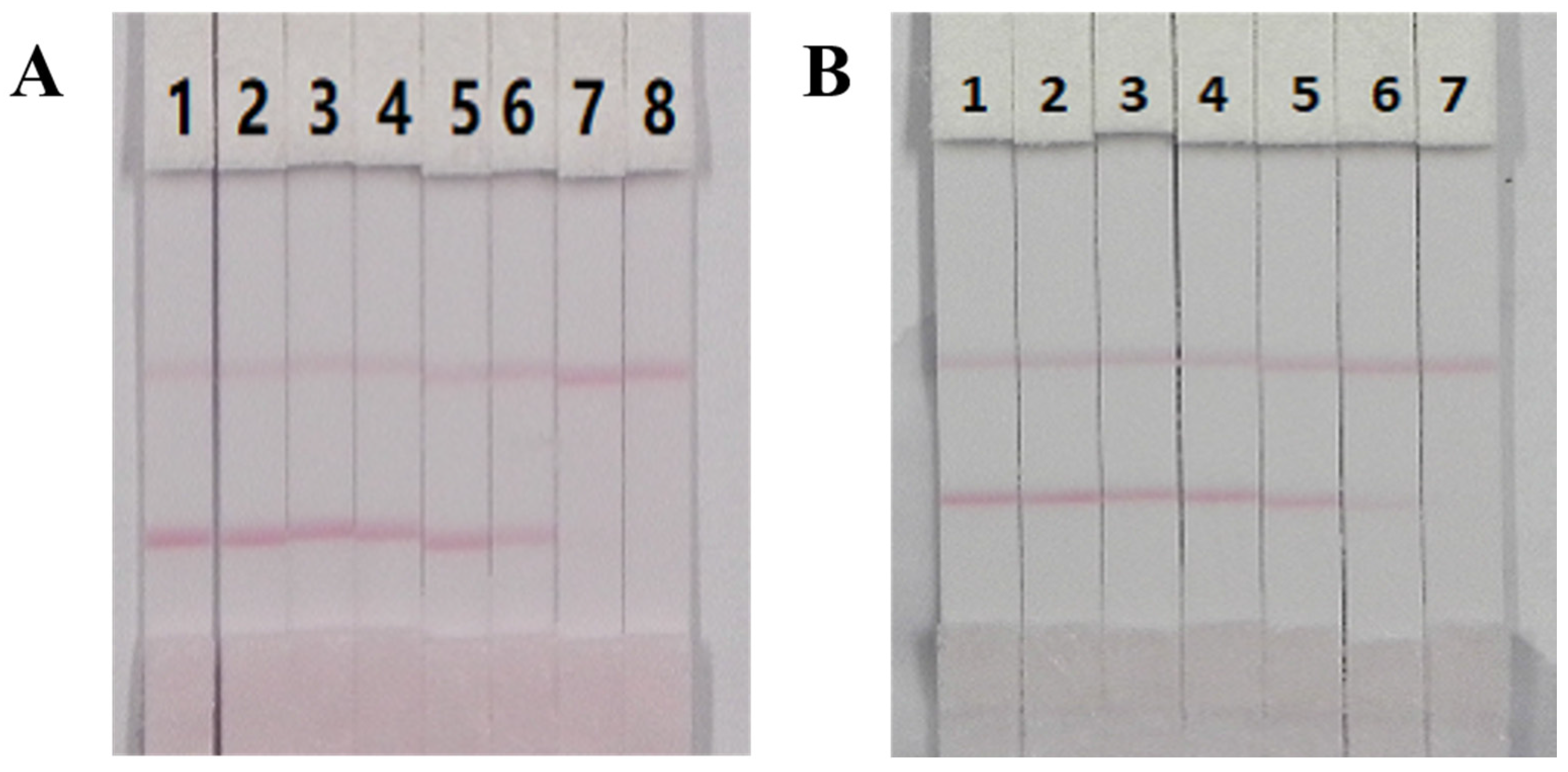 Nanomaterials 08 00144 g009 Nanomaterials 08 00144 g009