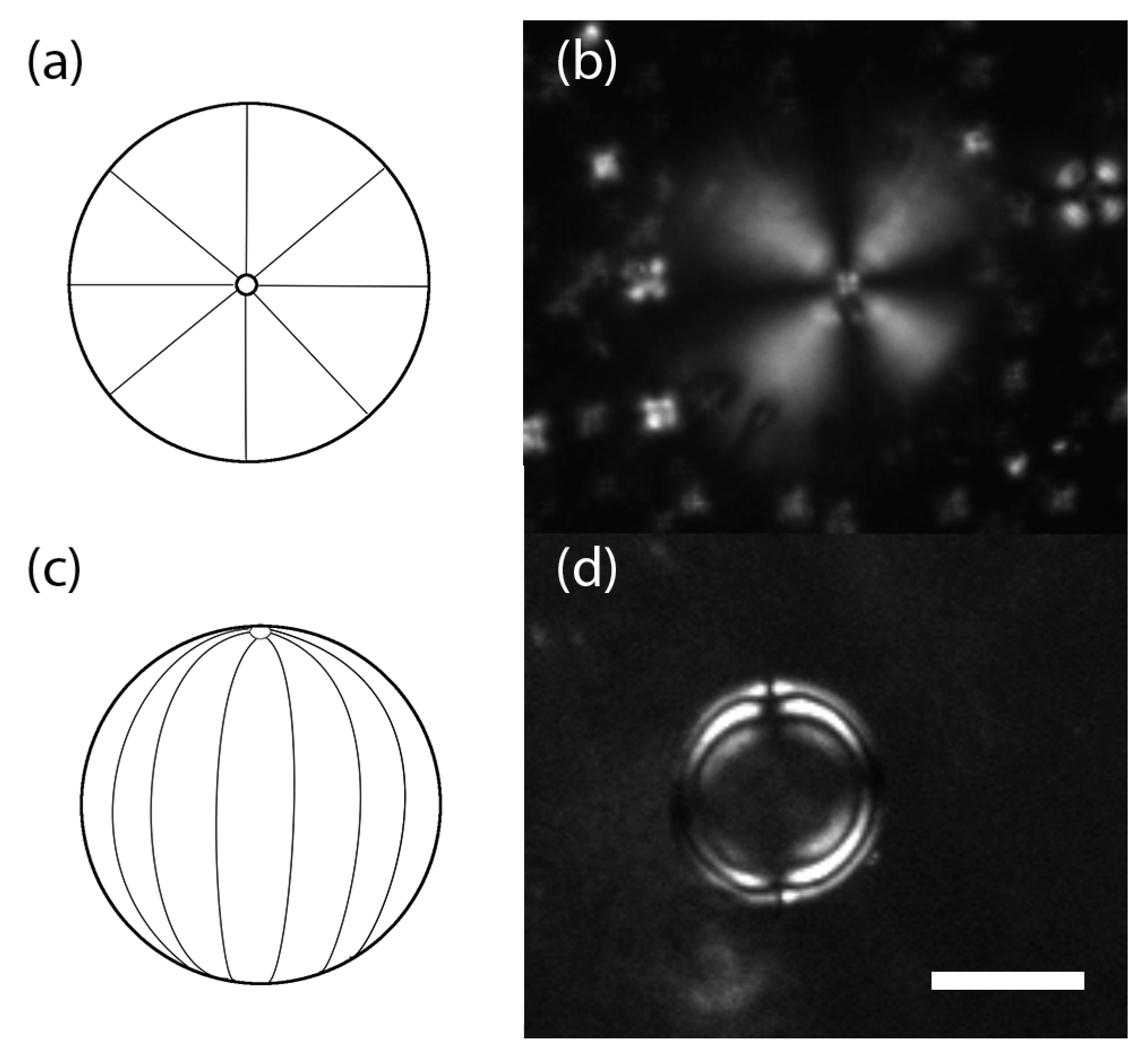 Nanomaterials 08 00146 g001