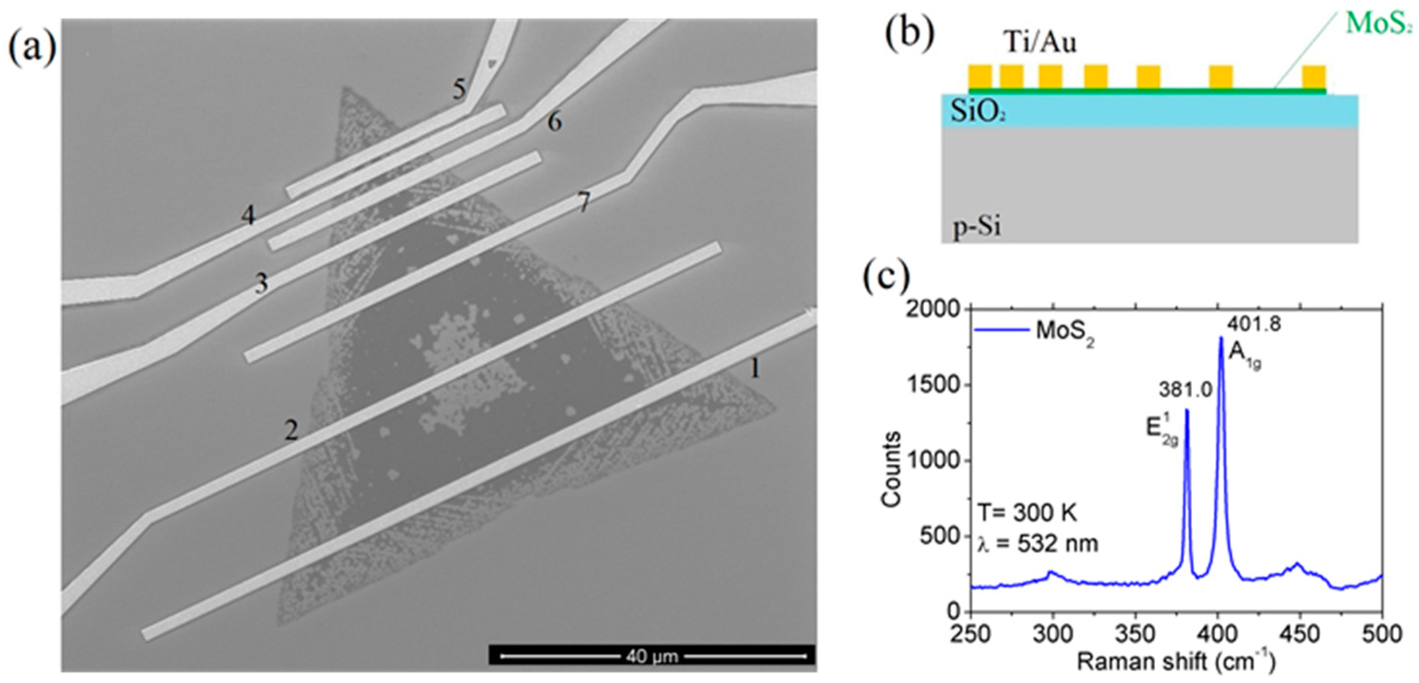 Nanomaterials 08 00151 g001