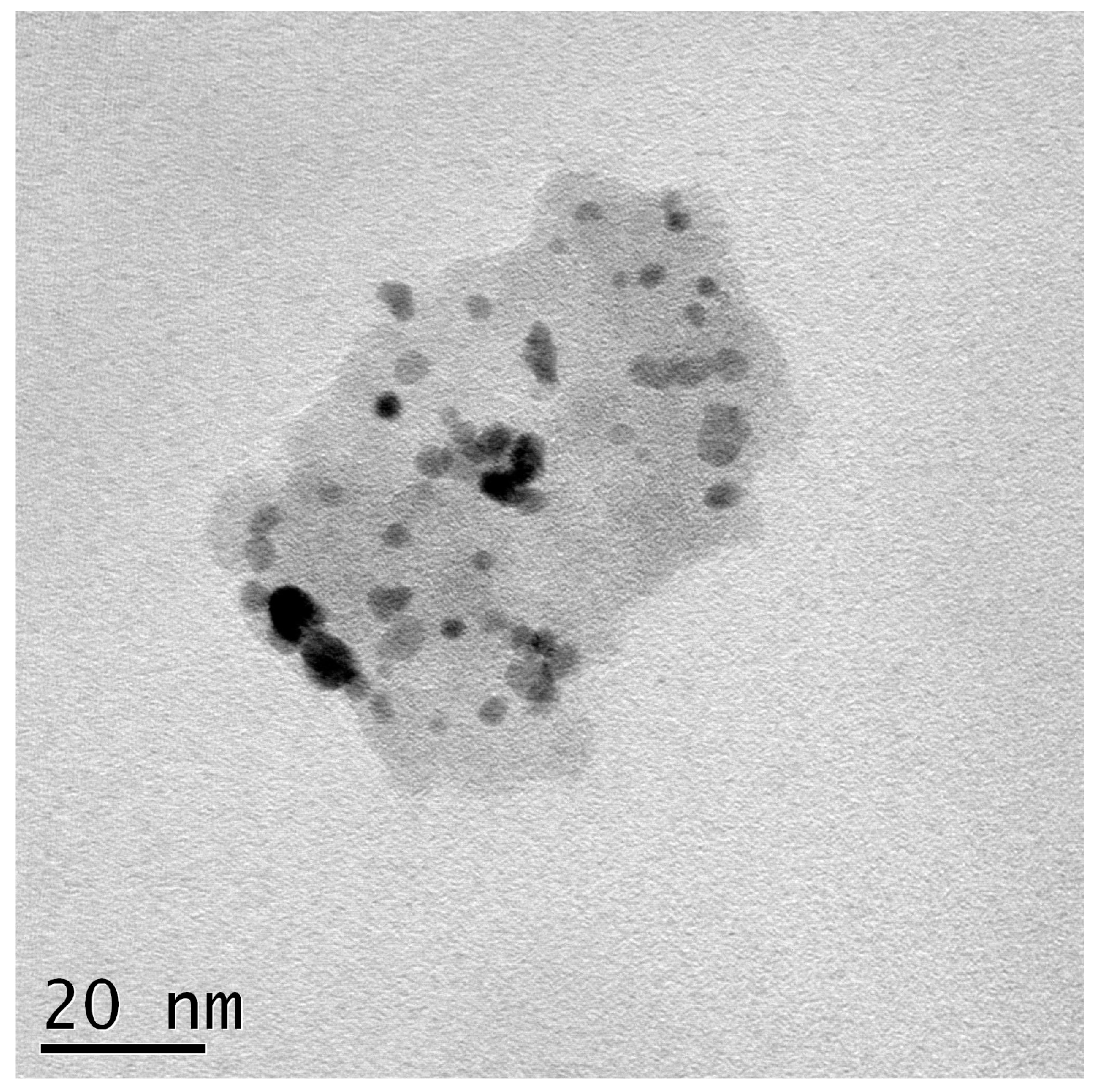 Nanomaterials 08 00153 g003