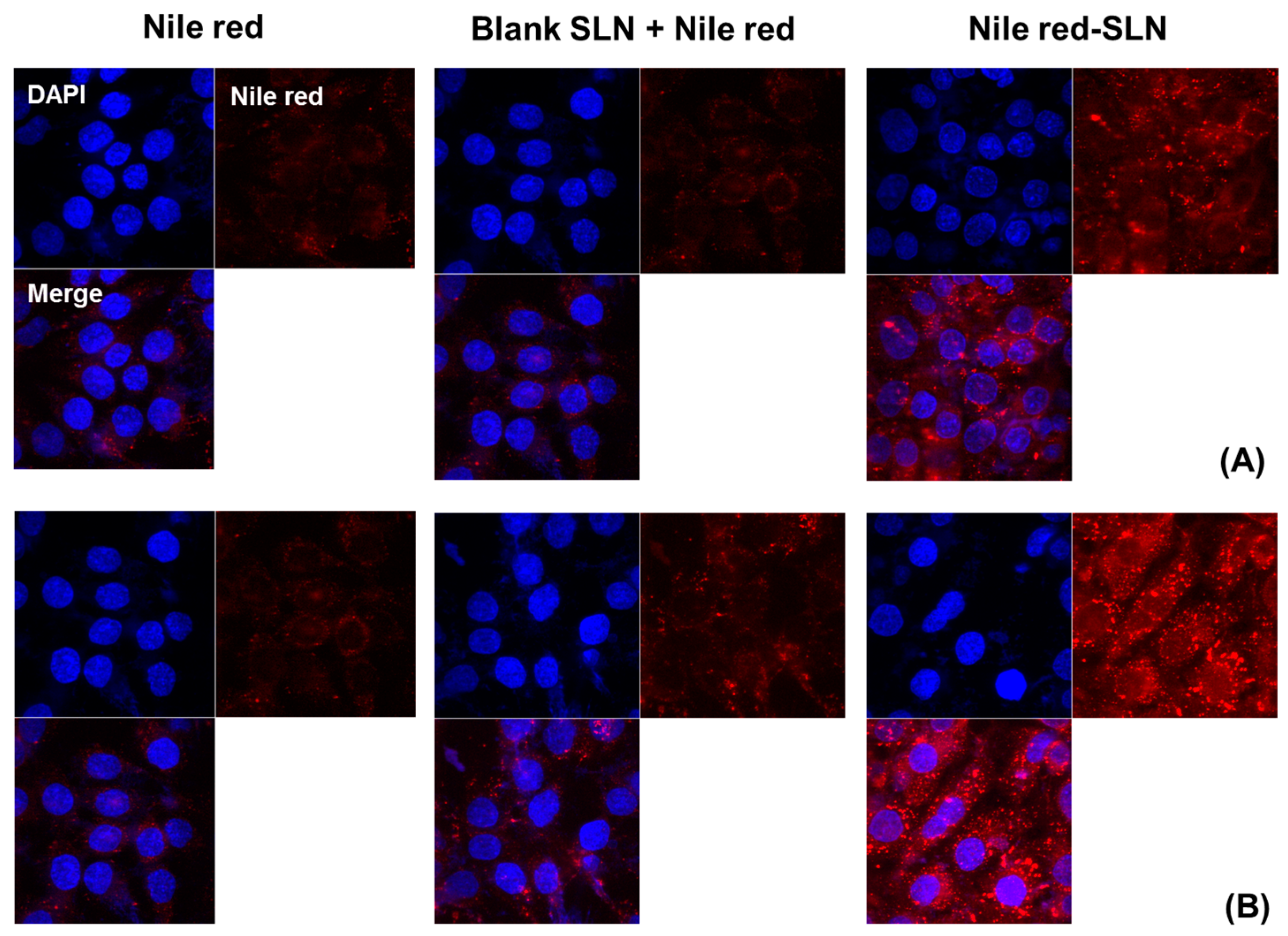 Nanomaterials 08 00159 g007