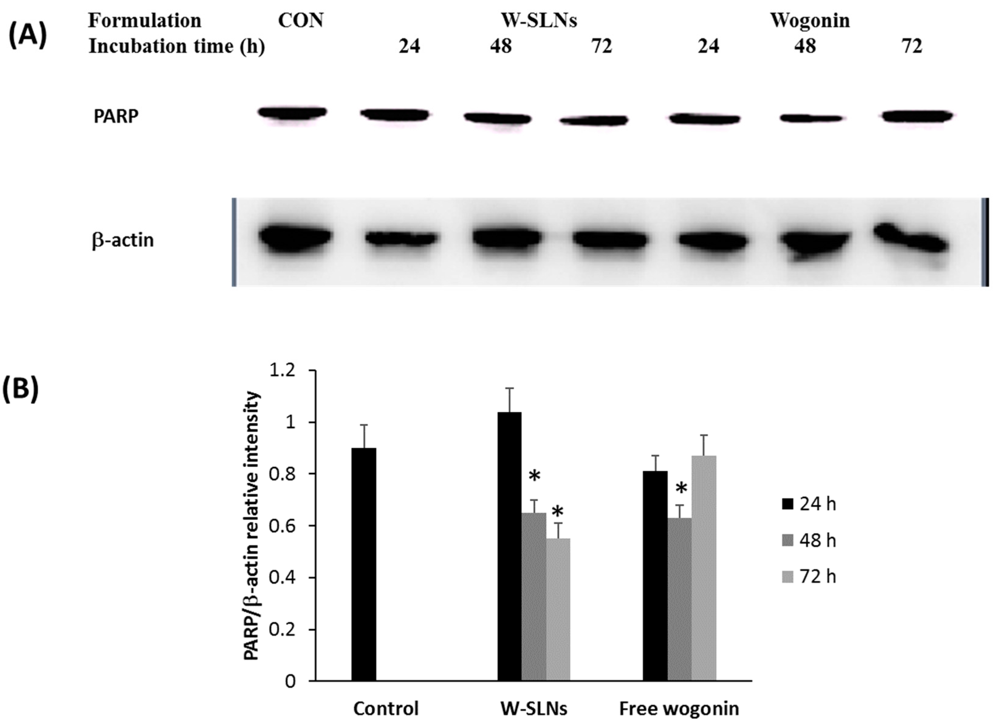 Nanomaterials 08 00159 g008