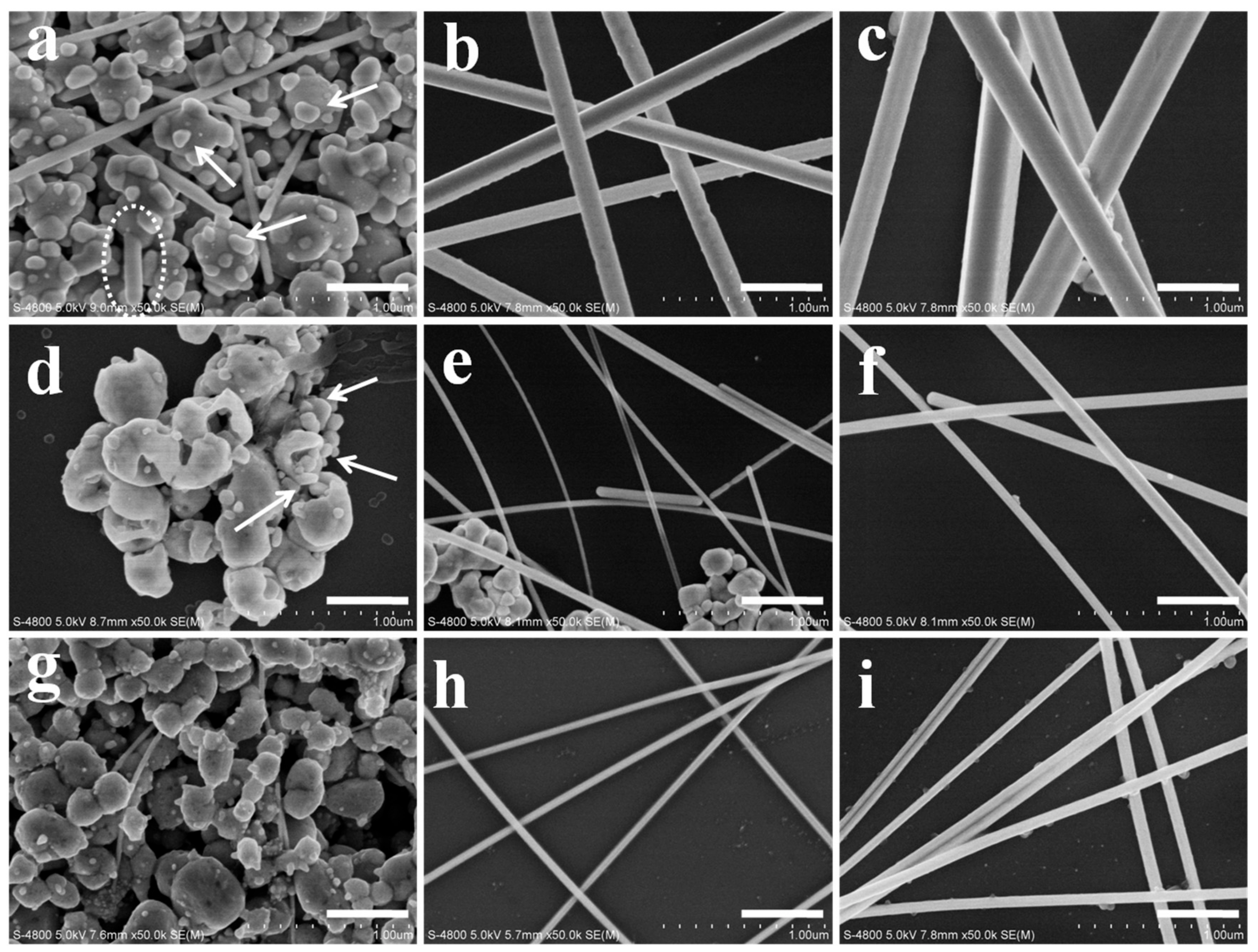 Nanomaterials 08 00161 g001