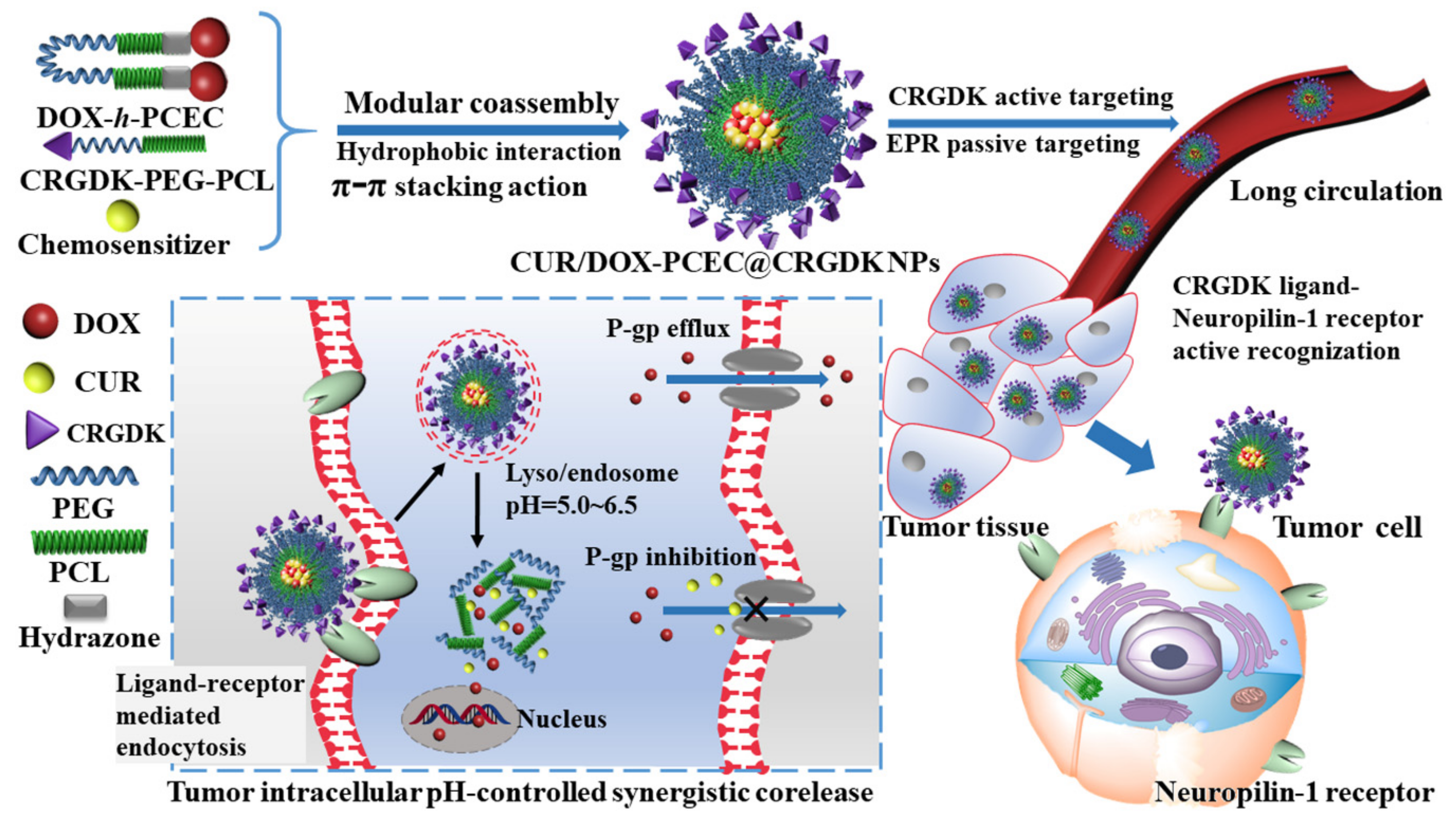 Nanomaterials 08 00167 sch001 Nanomaterials 08 00167 sch001