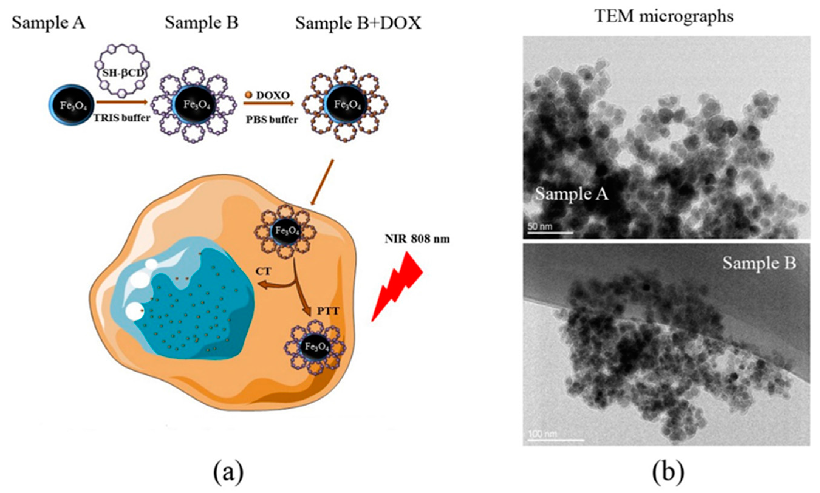 Nanomaterials 08 00170 g001