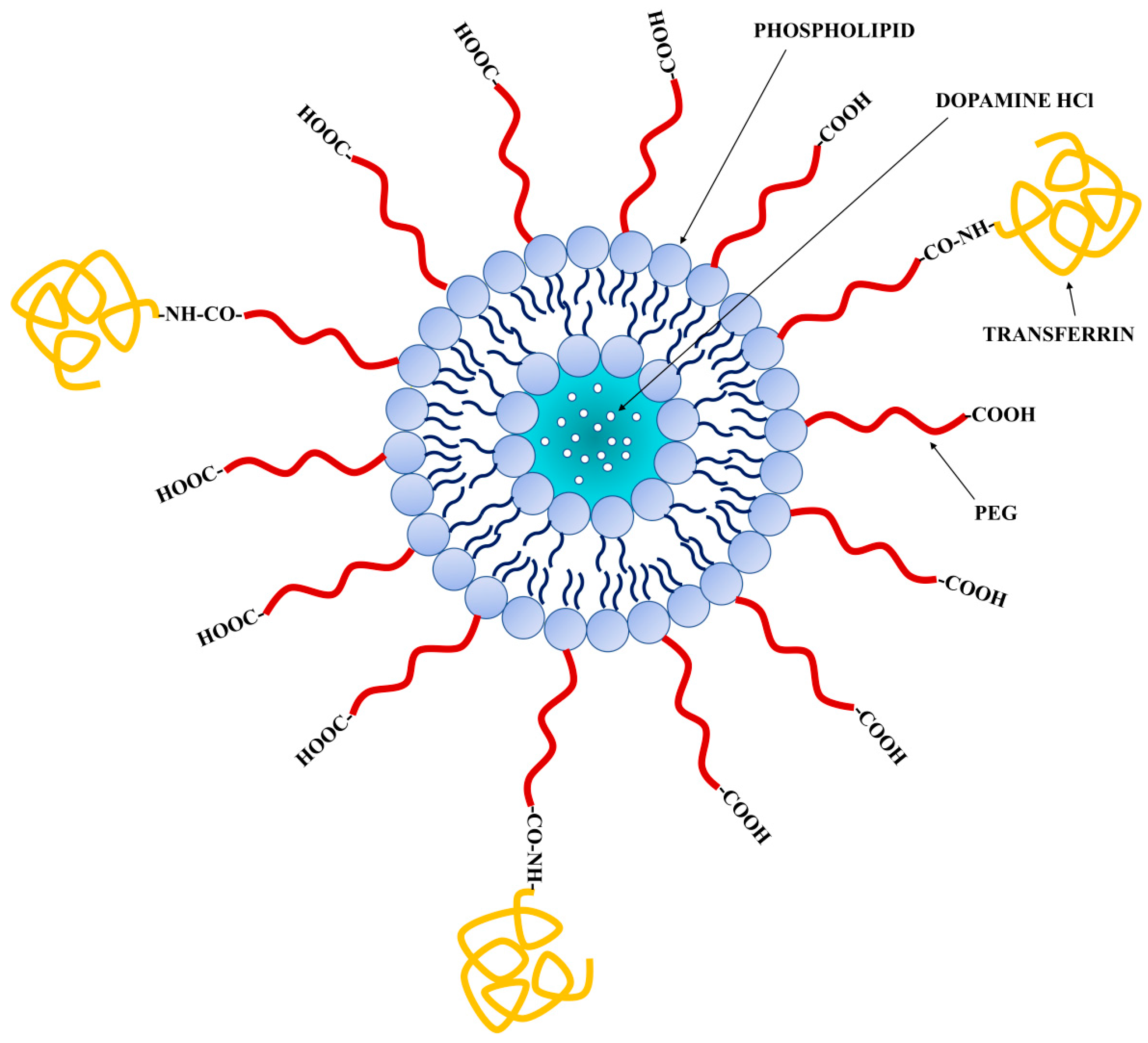 Nanomaterials 08 00178 g001