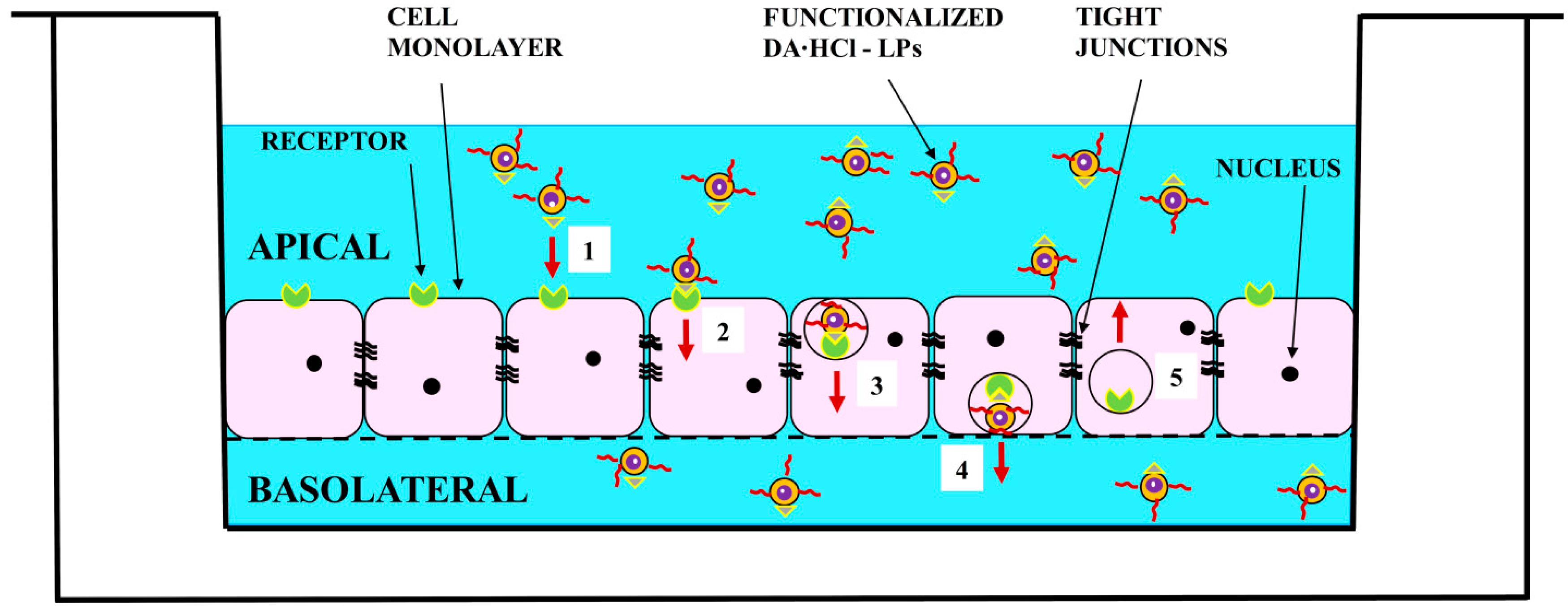 Nanomaterials 08 00178 g004
