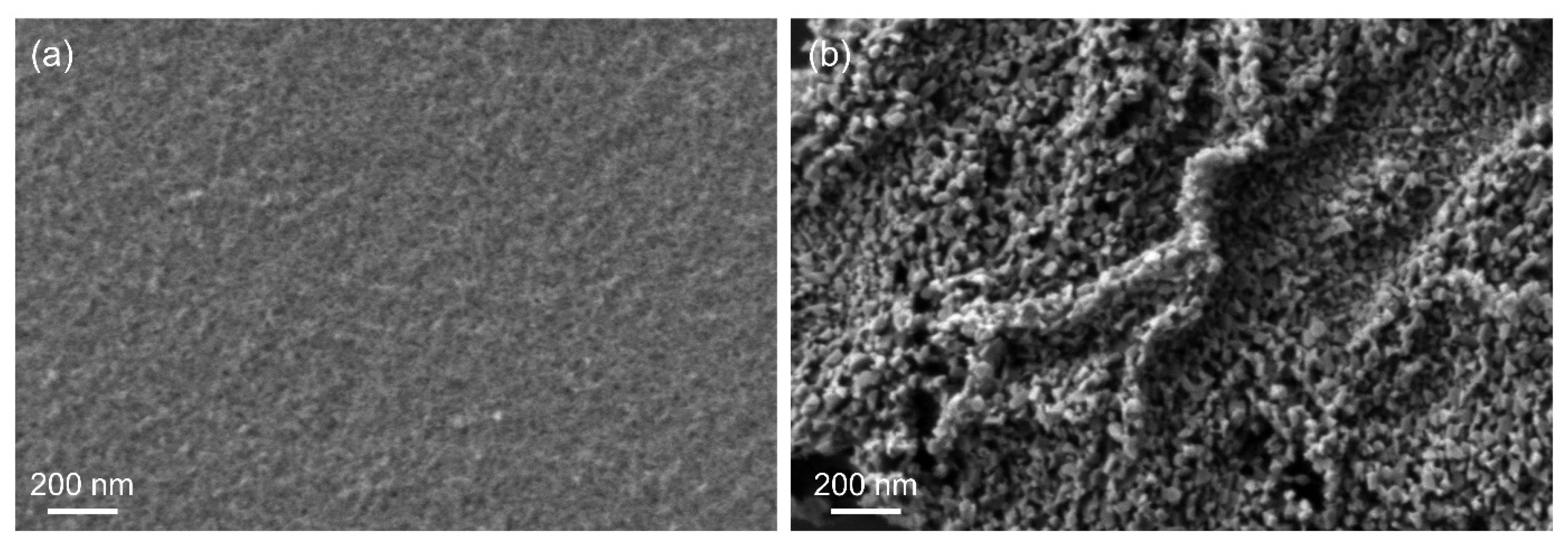 Nanomaterials 08 00186 g004
