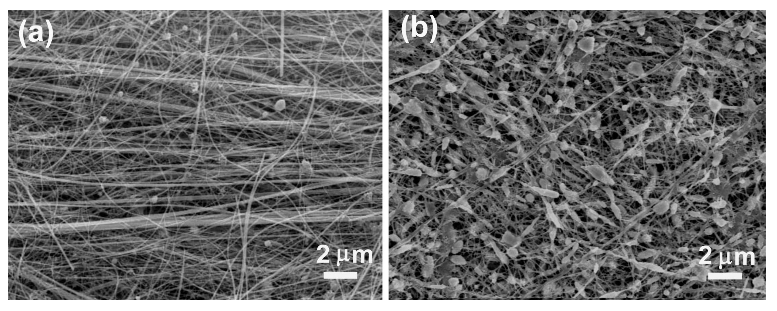 Nanomaterials 08 00192 g006