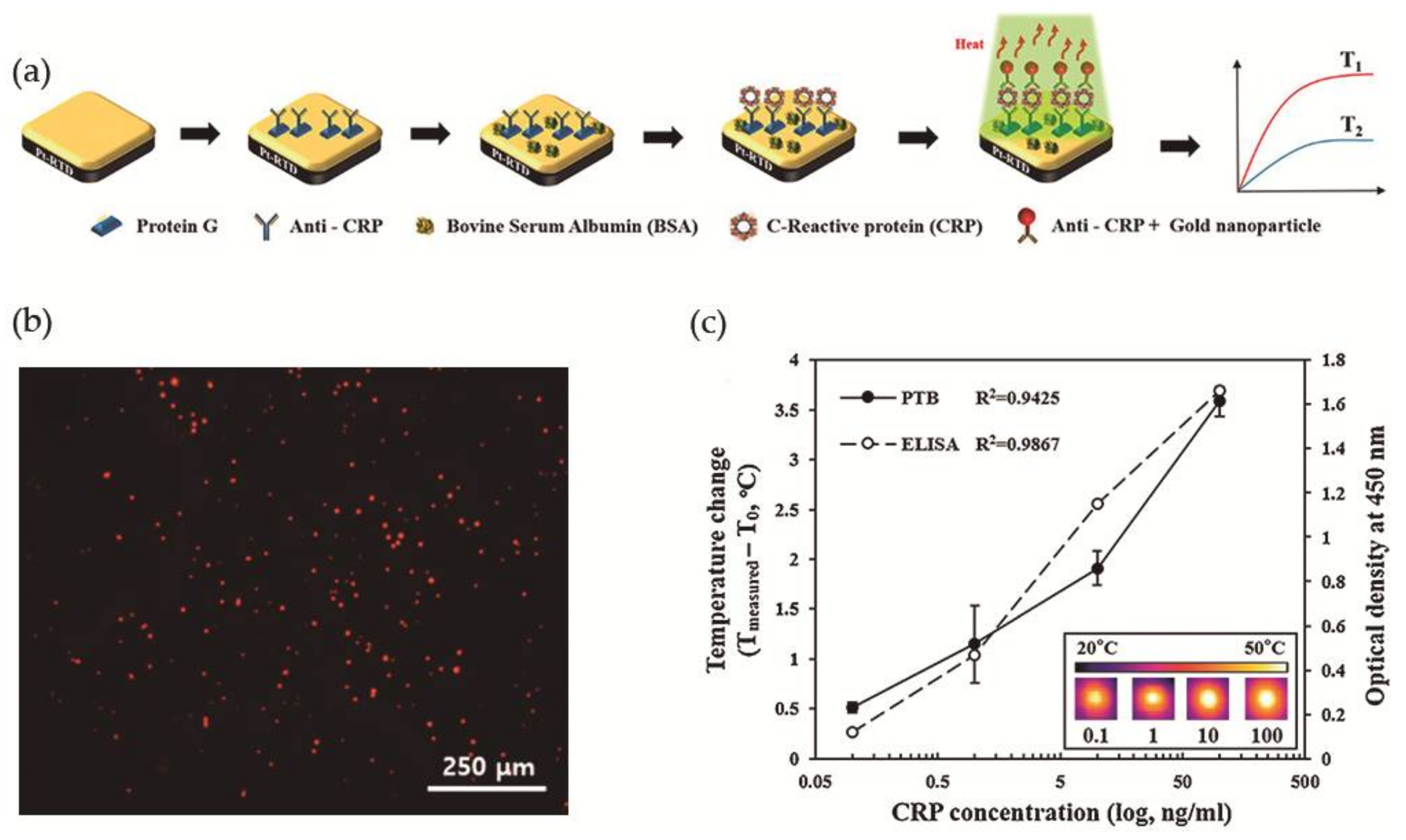 Nanomaterials 08 00200 g010