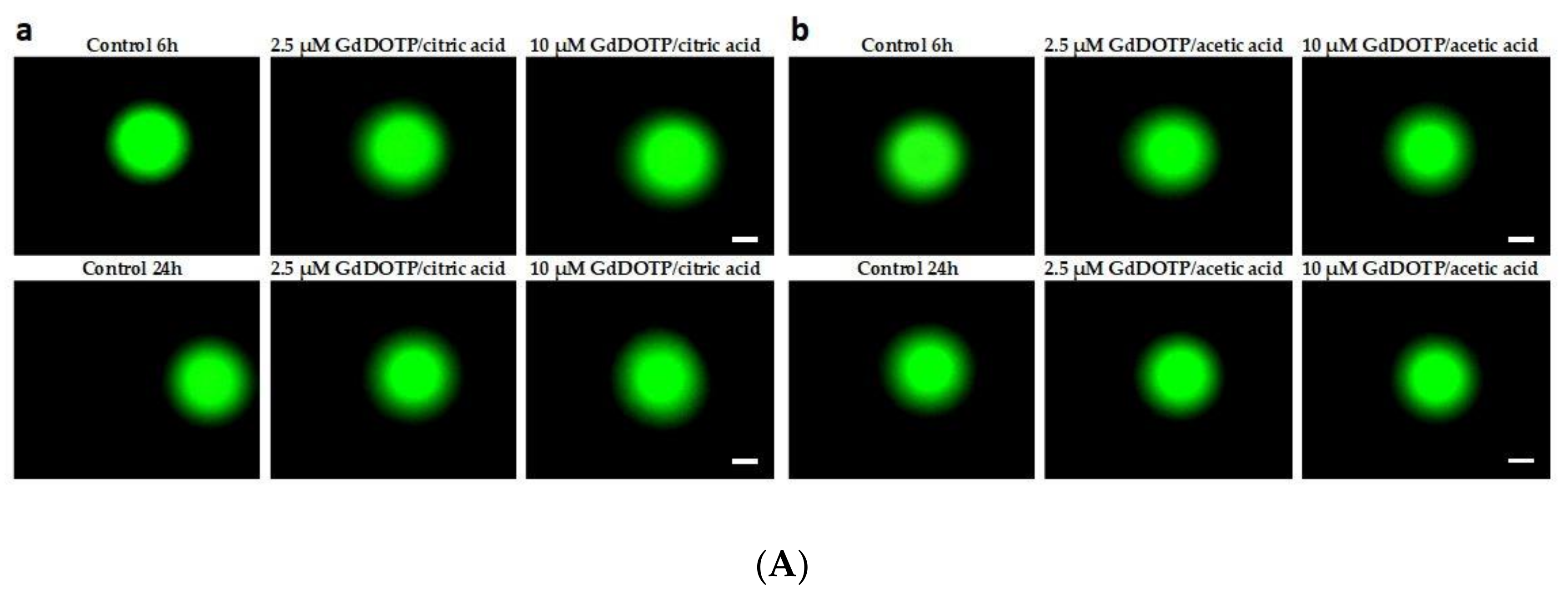 Nanomaterials 08 00201 g006a