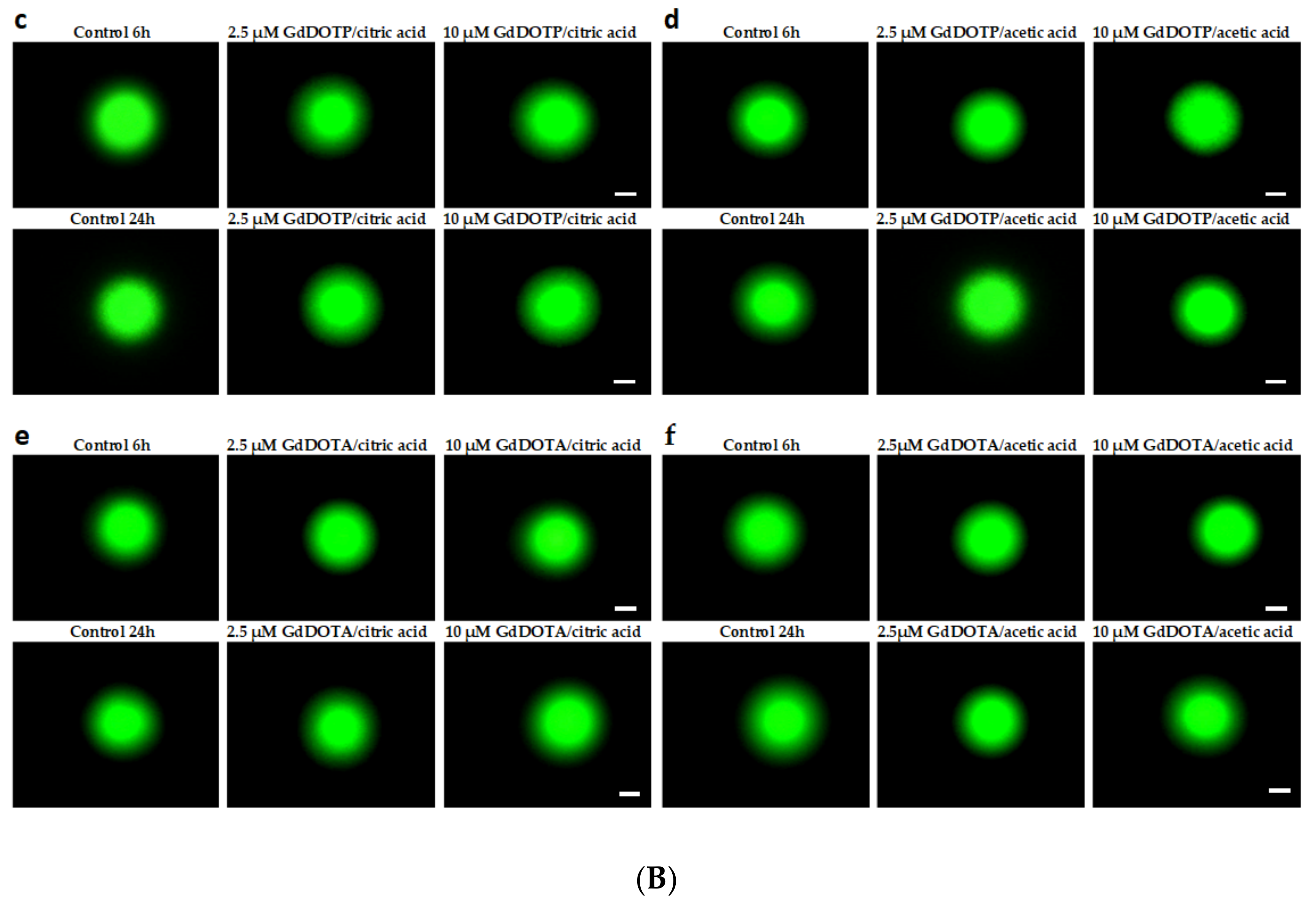 Nanomaterials 08 00201 g006b