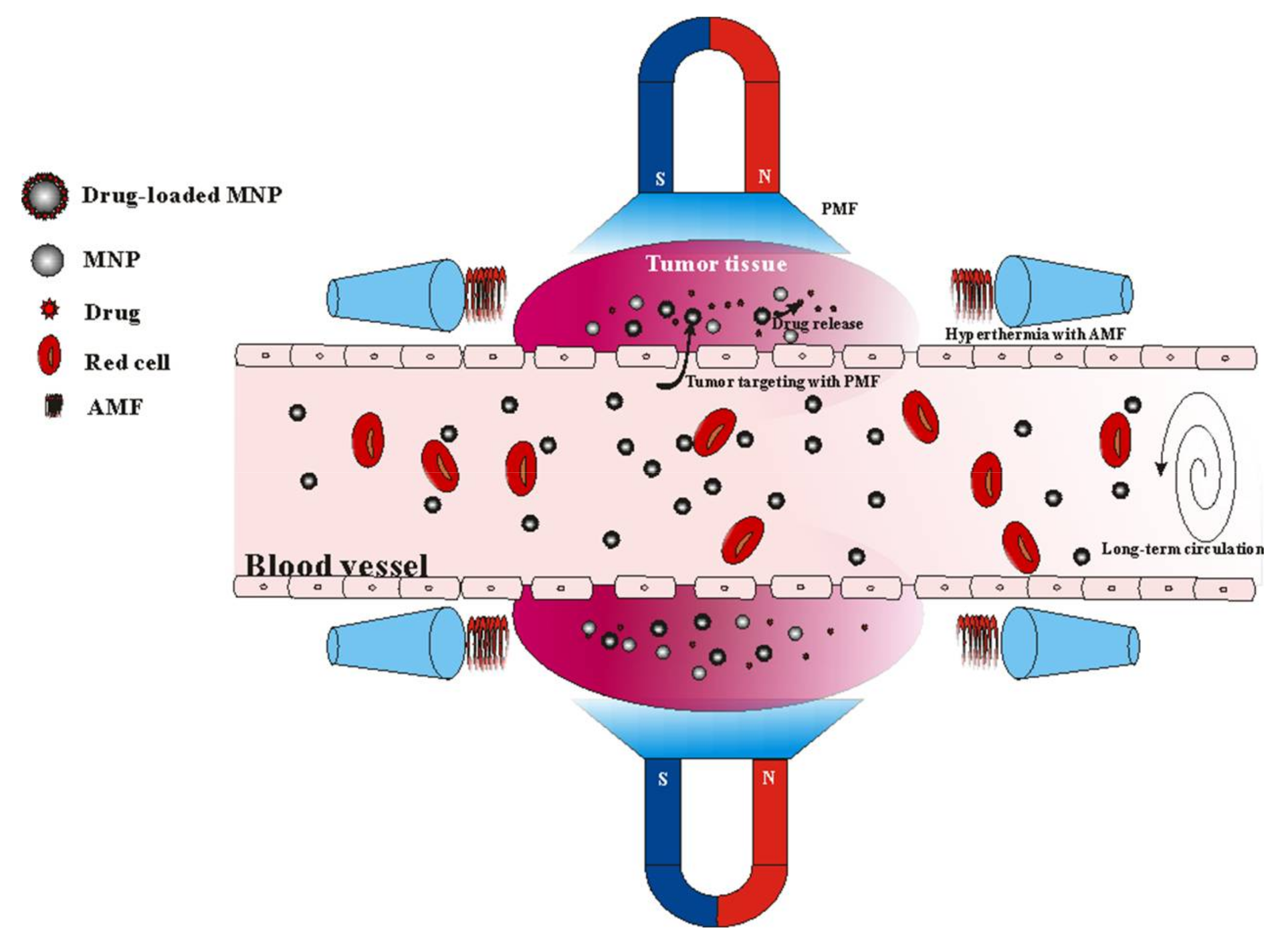 Nanomaterials 08 00202 g002