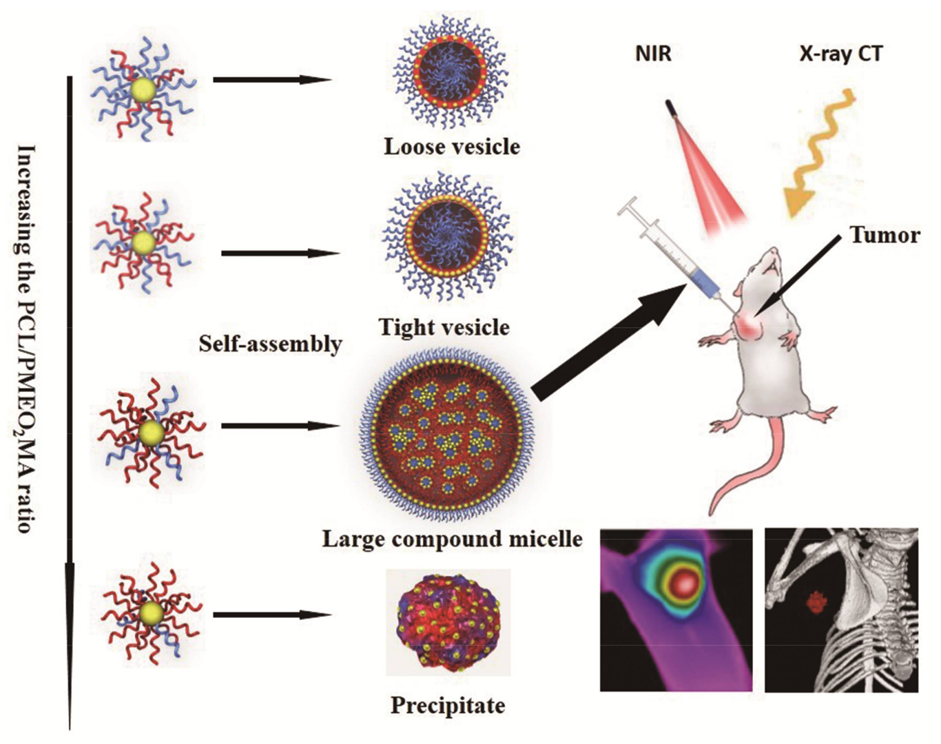 Nanomaterials 08 00202 sch001