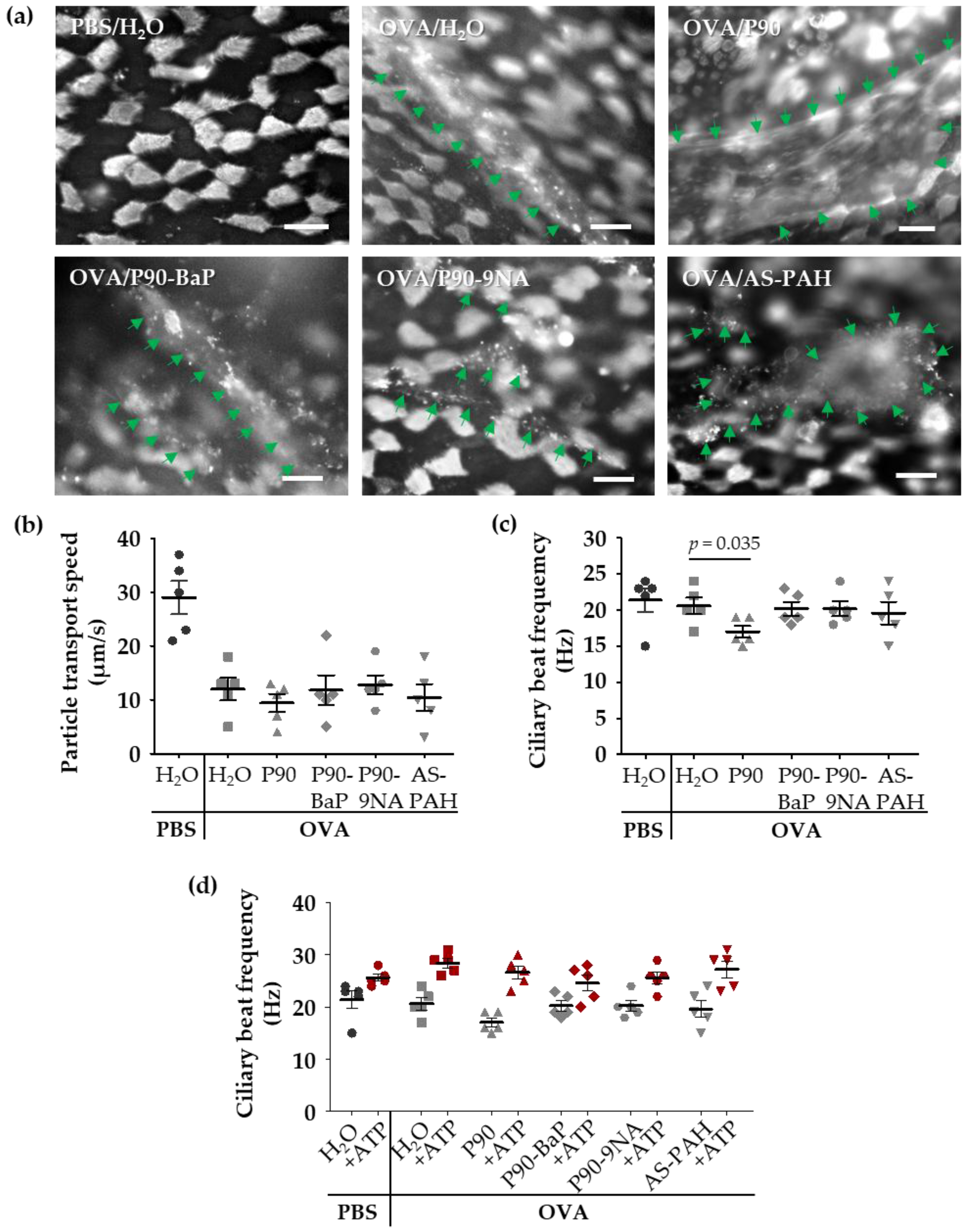 Nanomaterials 08 00213 g003