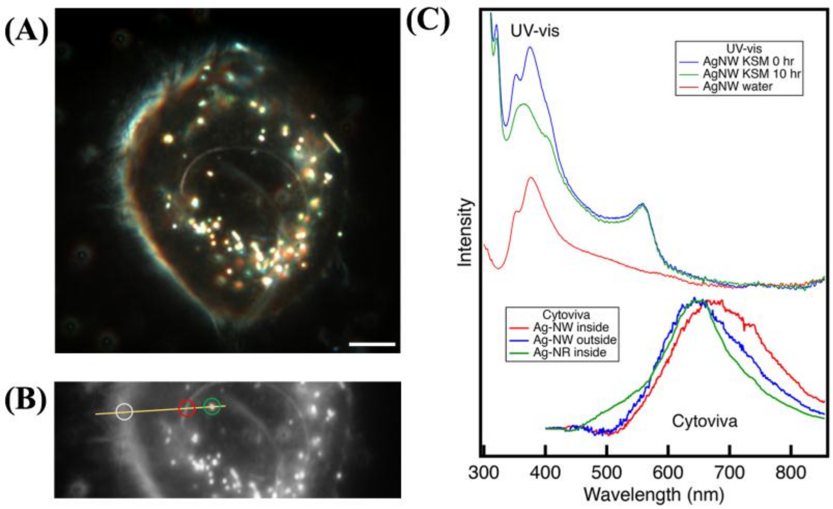 Nanomaterials 08 00232 g007