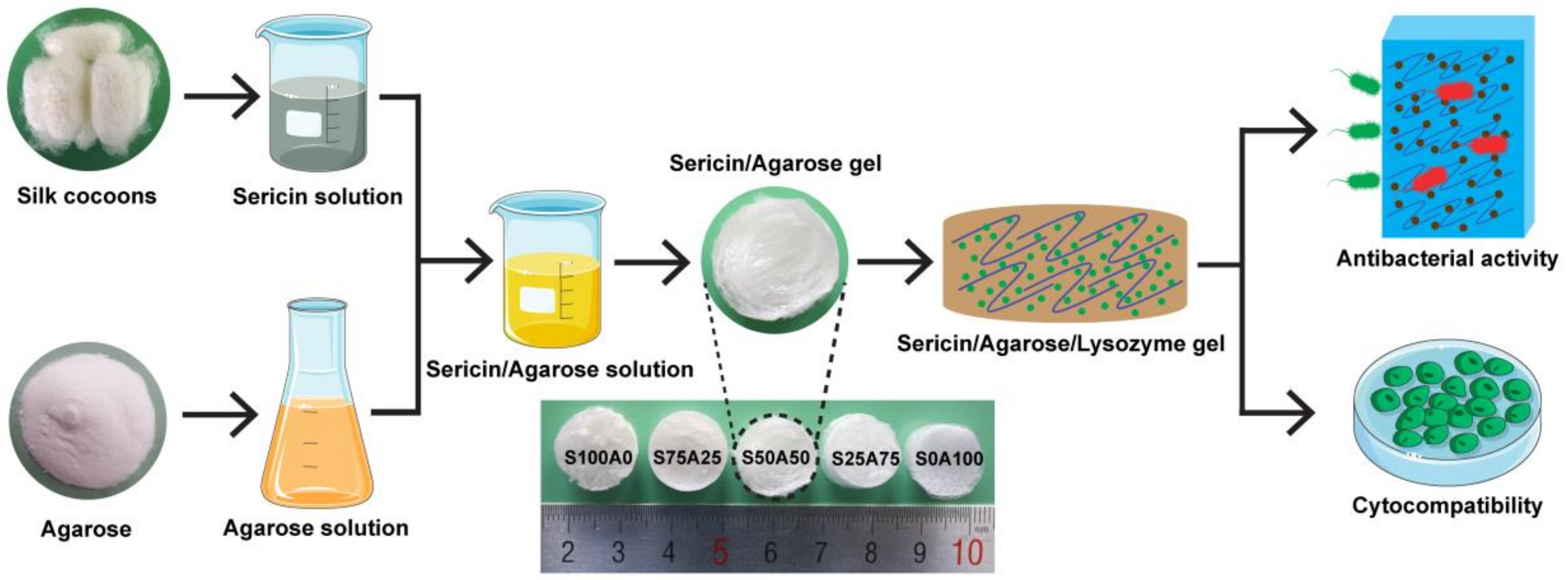 Nanomaterials 08 00235 g001