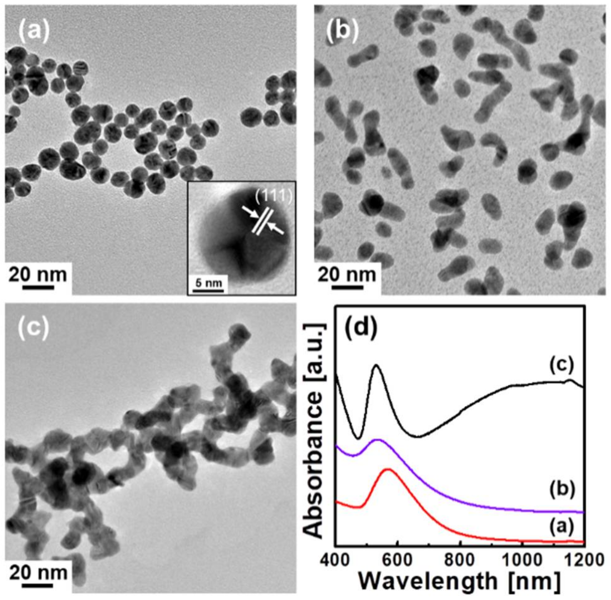 Nanomaterials 08 00252 g001
