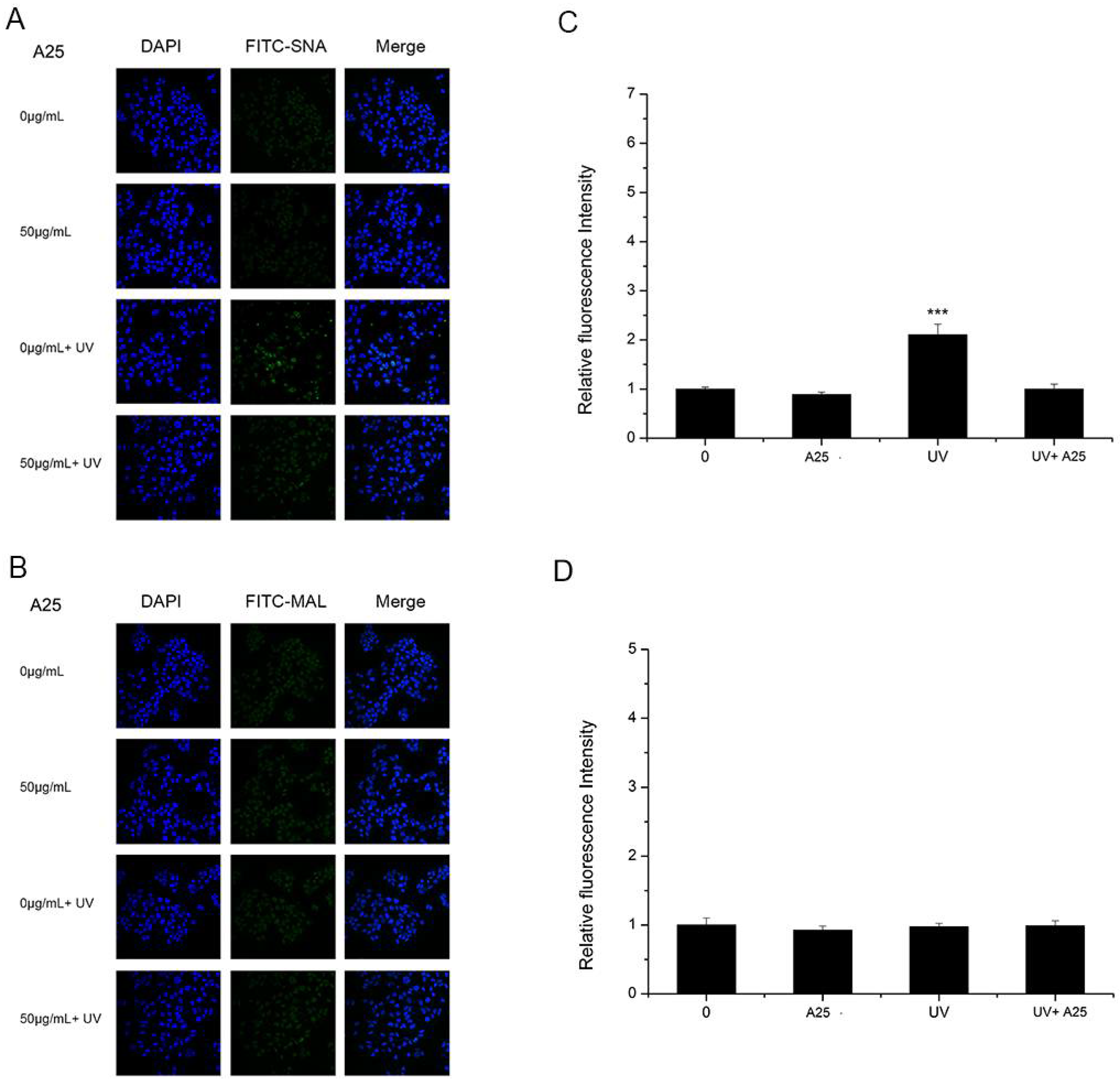 Nanomaterials 08 00253 g004