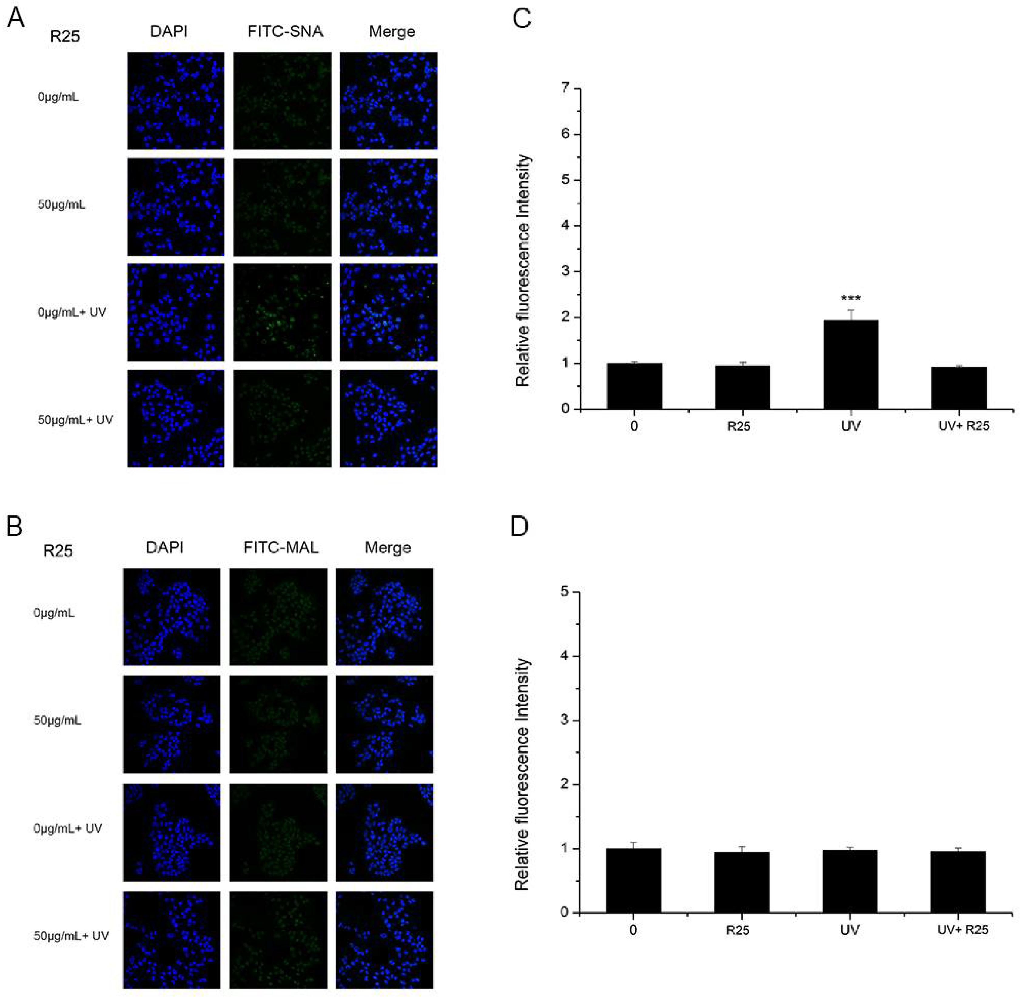 Nanomaterials 08 00253 g005