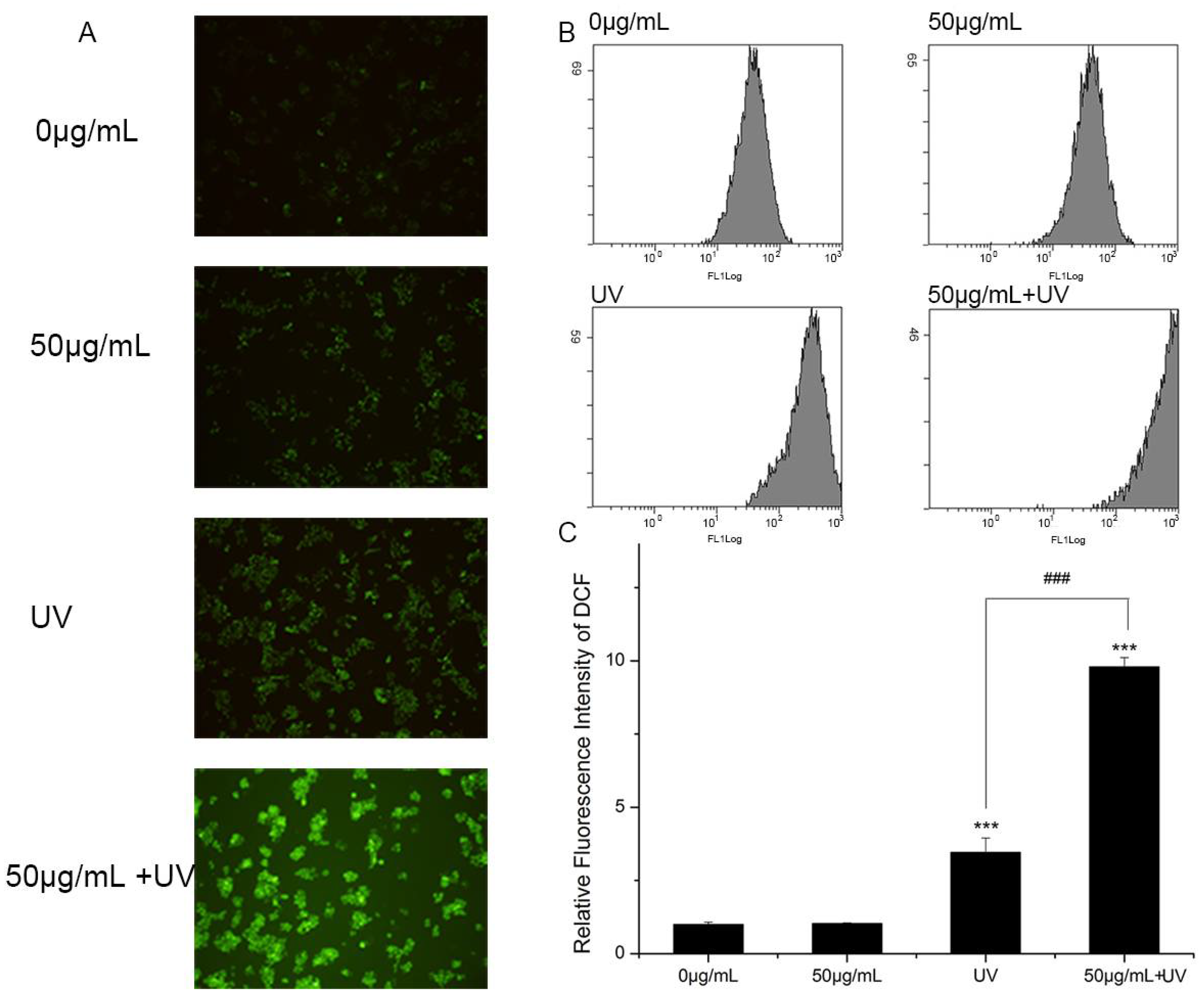 Nanomaterials 08 00253 g006