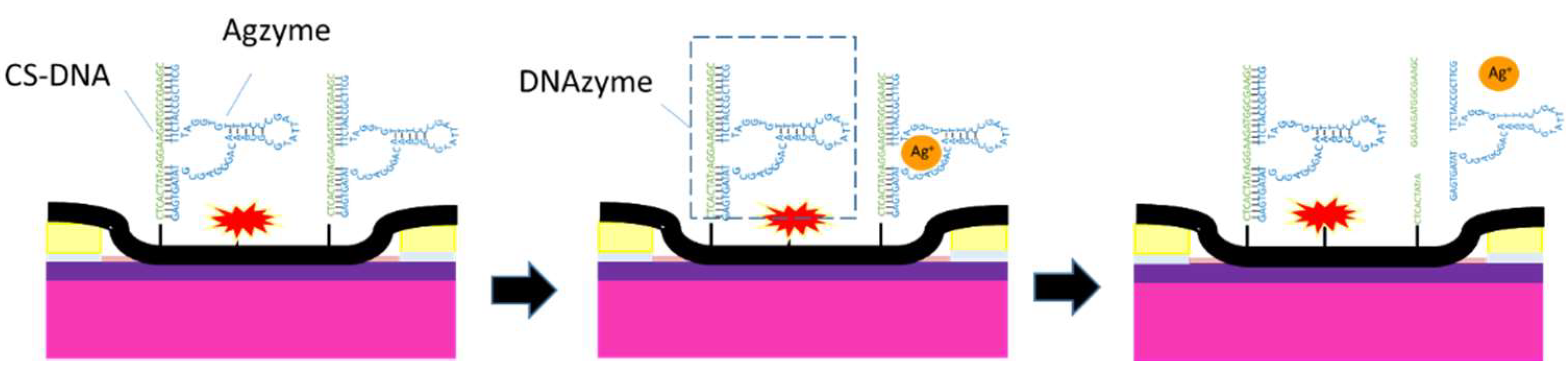 Nanomaterials 08 00258 g001