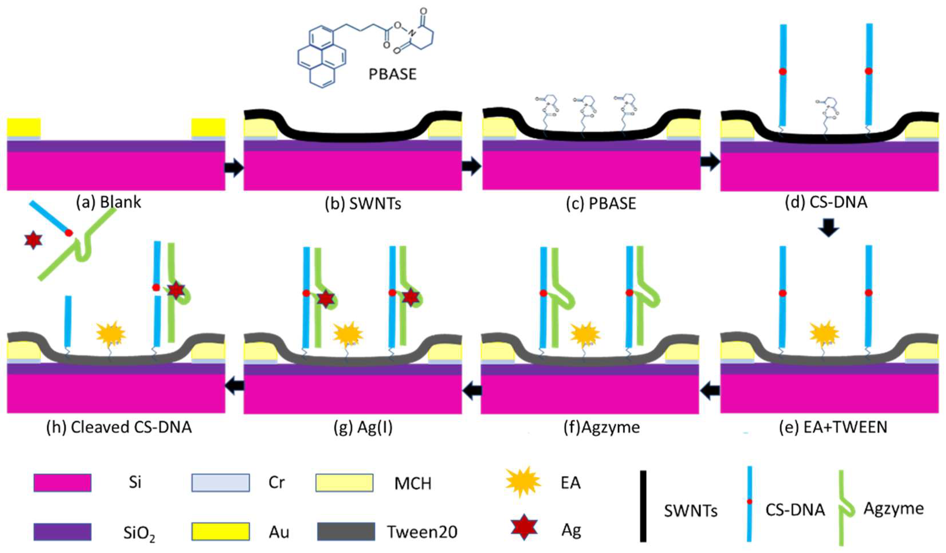 Nanomaterials 08 00258 g002