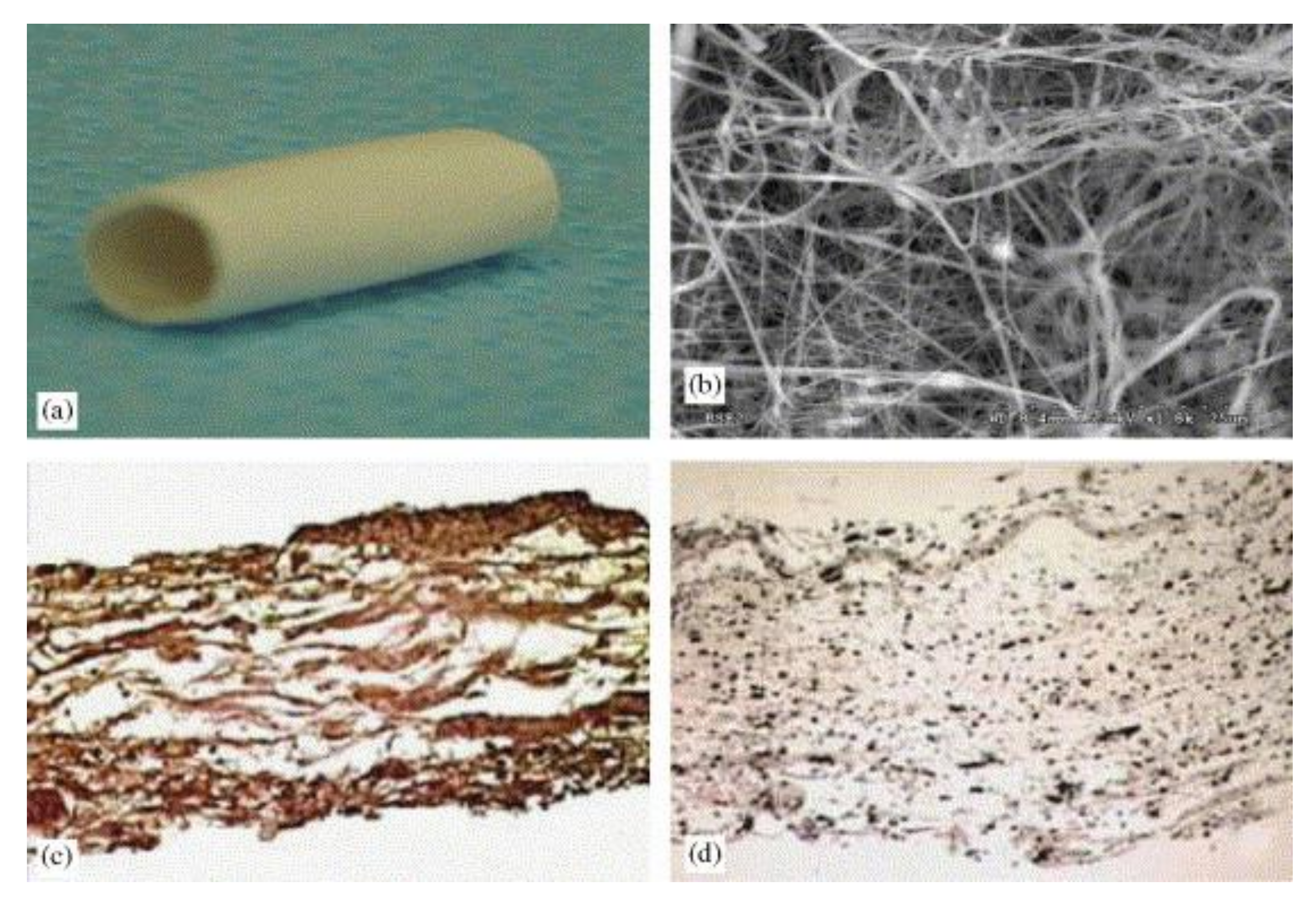 Nanomaterials 08 00259 g007 Nanomaterials 08 00259 g007