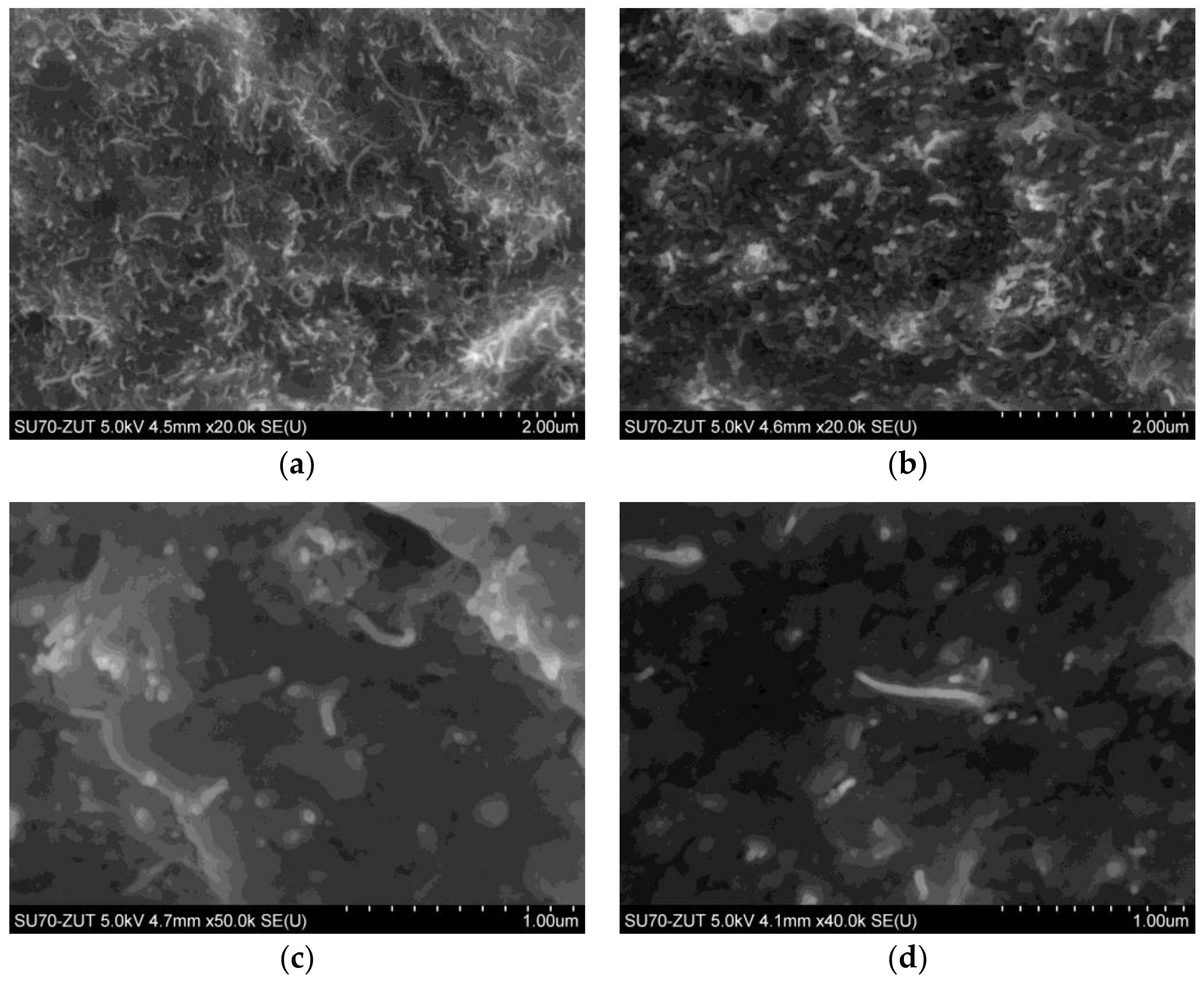 Nanomaterials 08 00264 g001 Nanomaterials 08 00264 g001