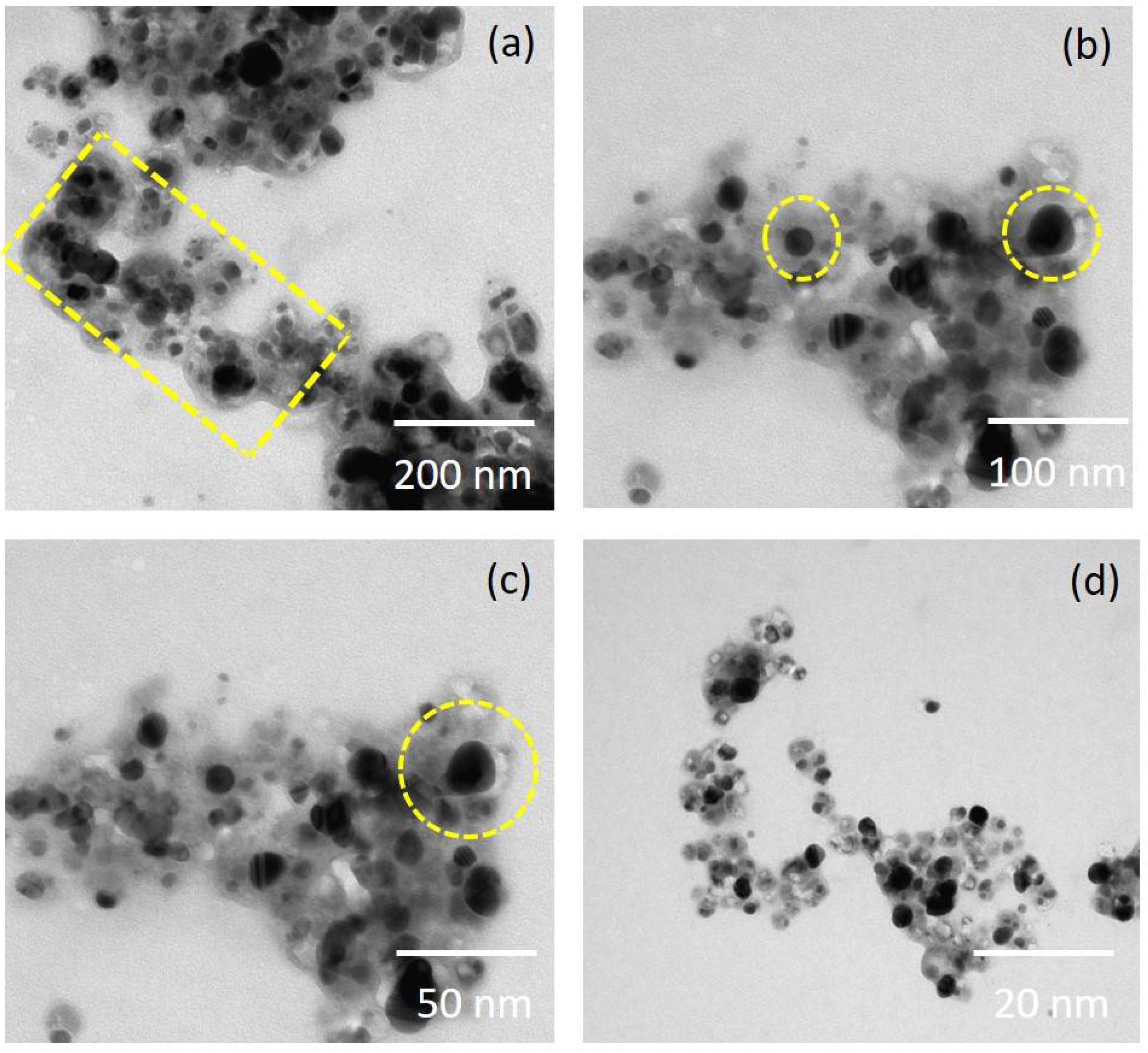 Nanomaterials 08 00279 g003