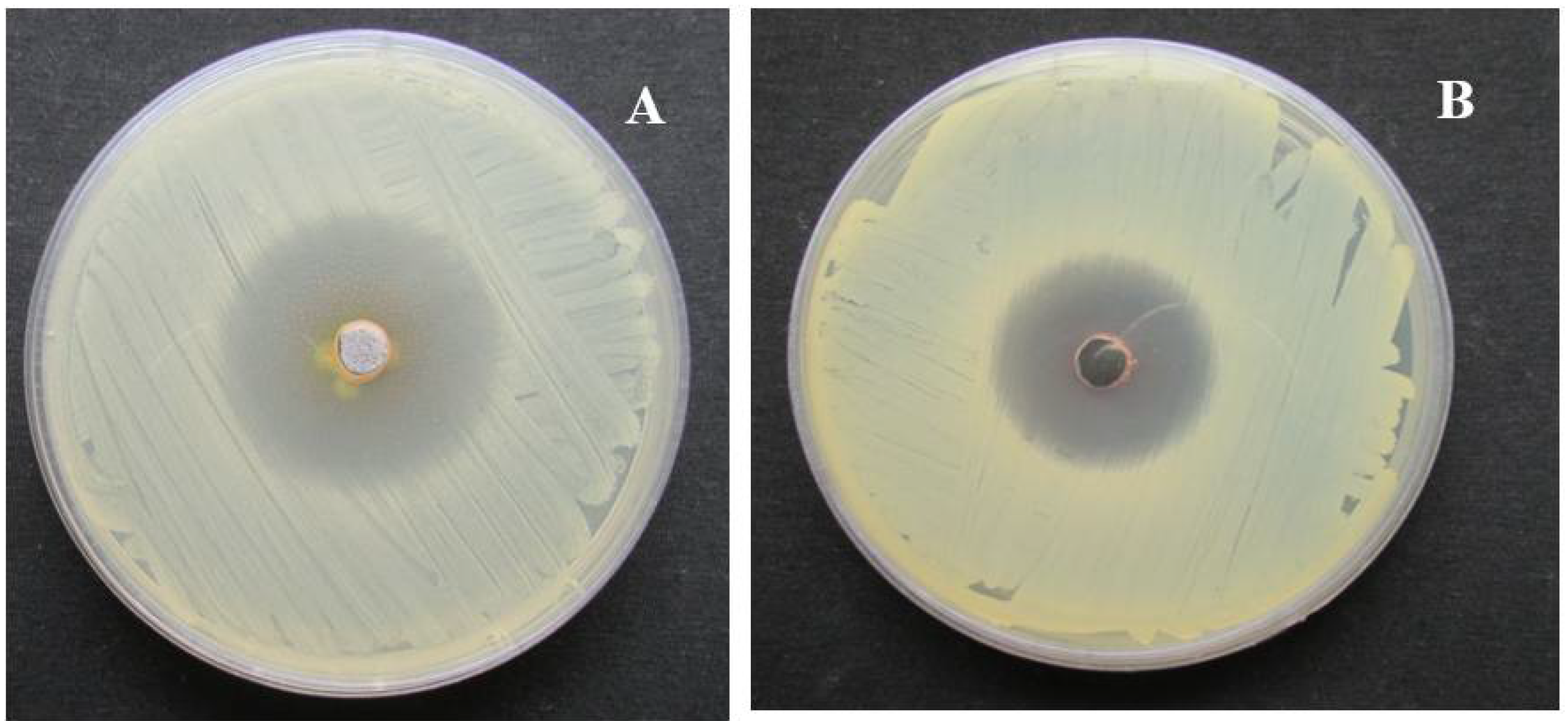 Nanomaterials 08 00279 g009