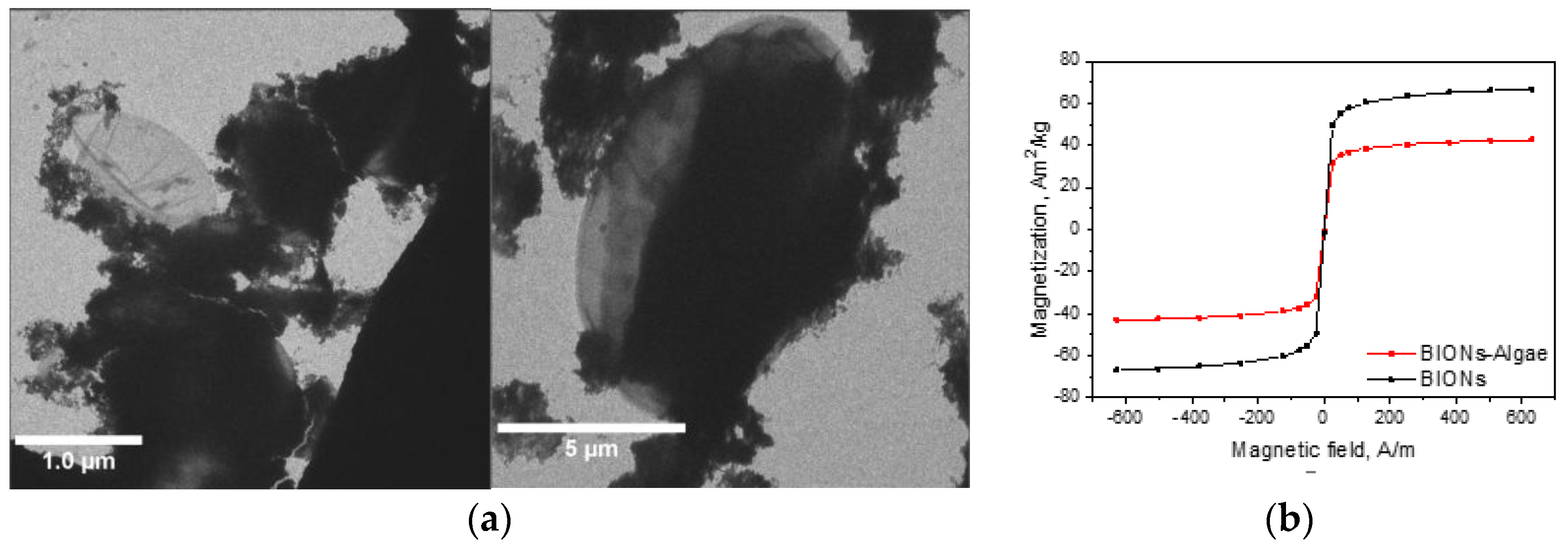 Nanomaterials 08 00292 g002