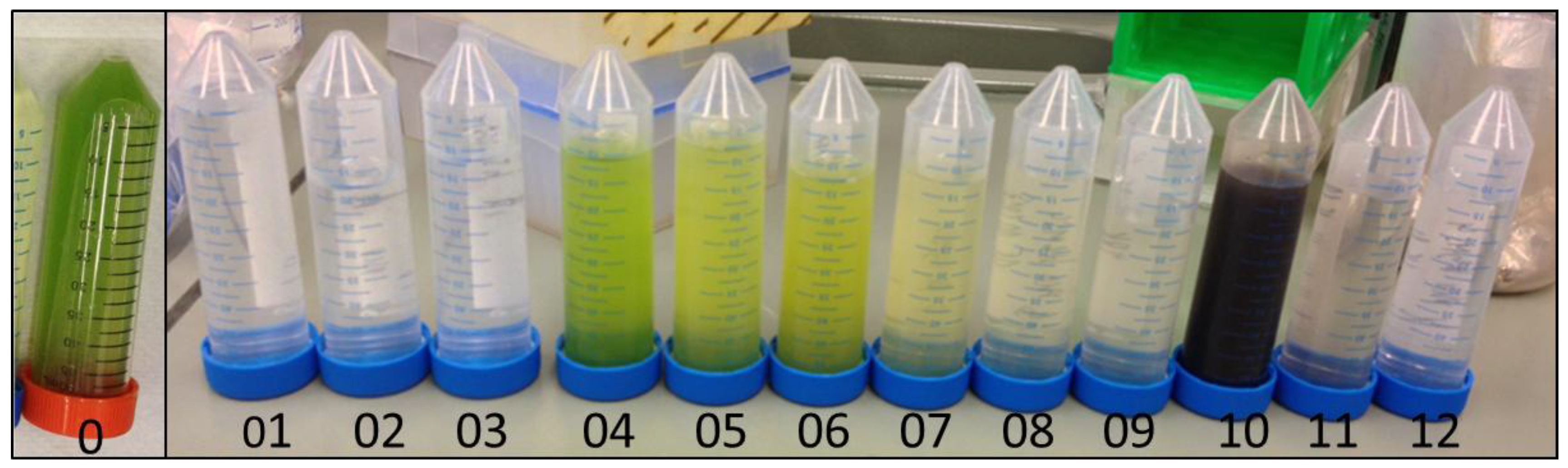 Nanomaterials 08 00292 g007