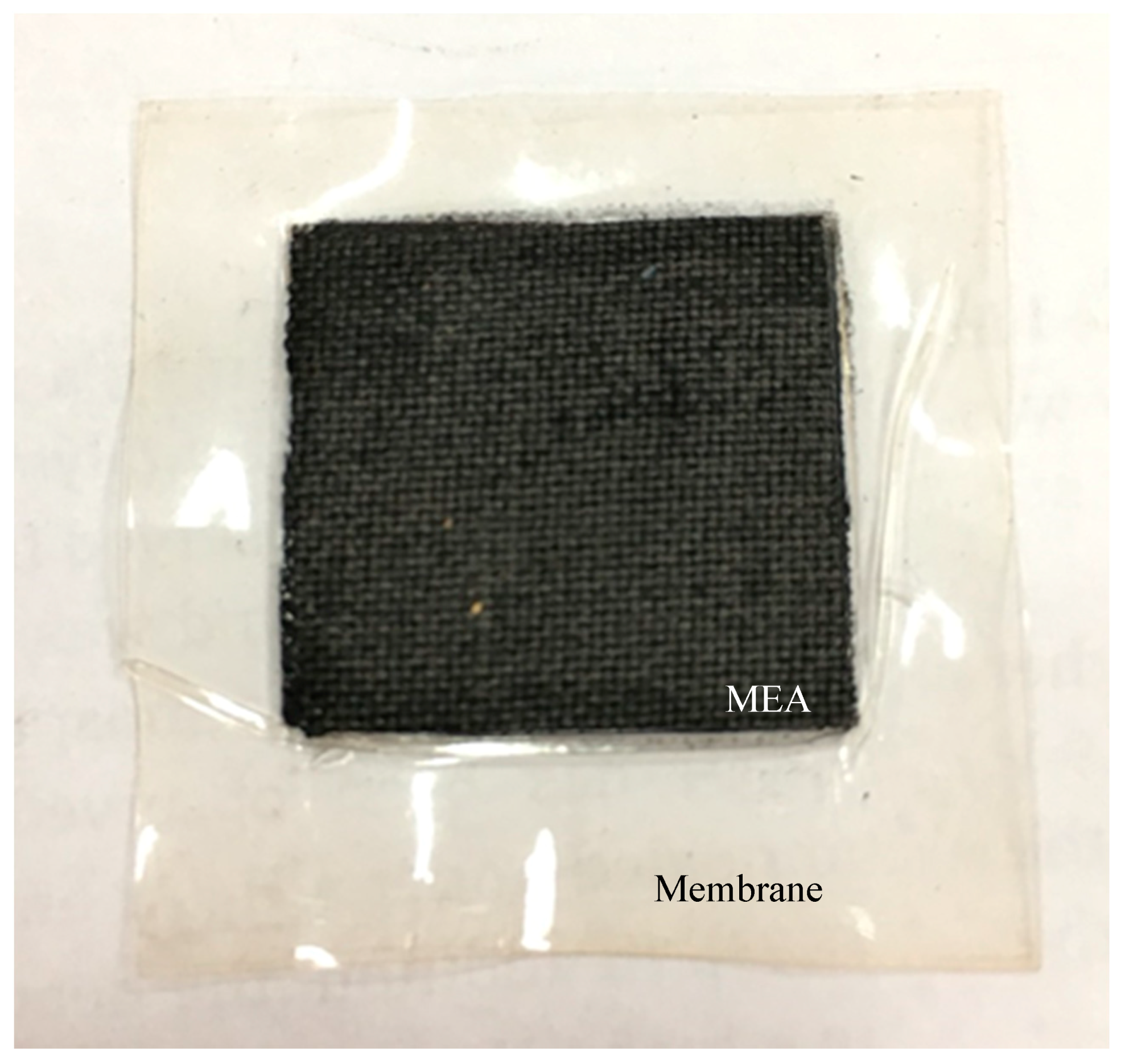 Nanomaterials 08 00299 g001