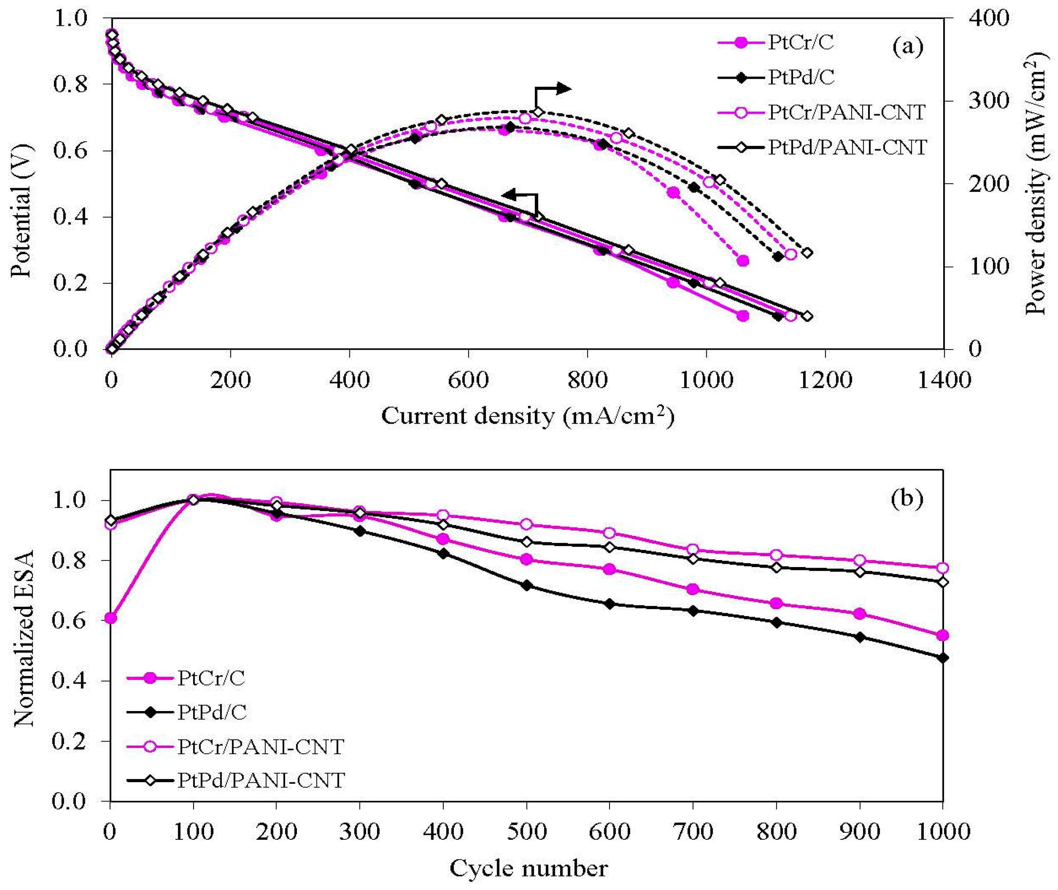Nanomaterials 08 00299 g010