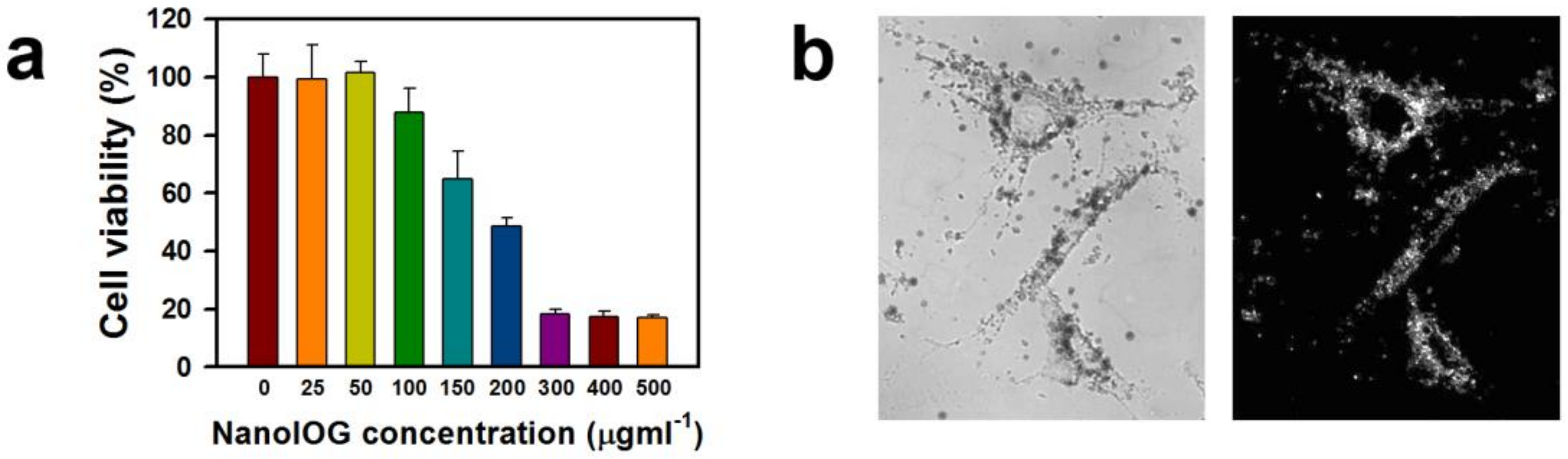Nanomaterials 08 00300 g005
