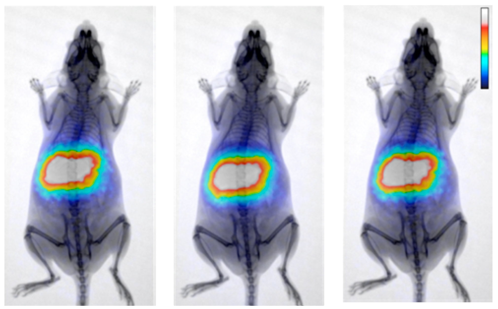 Nanomaterials 08 00306 g003 Nanomaterials 08 00306 g003