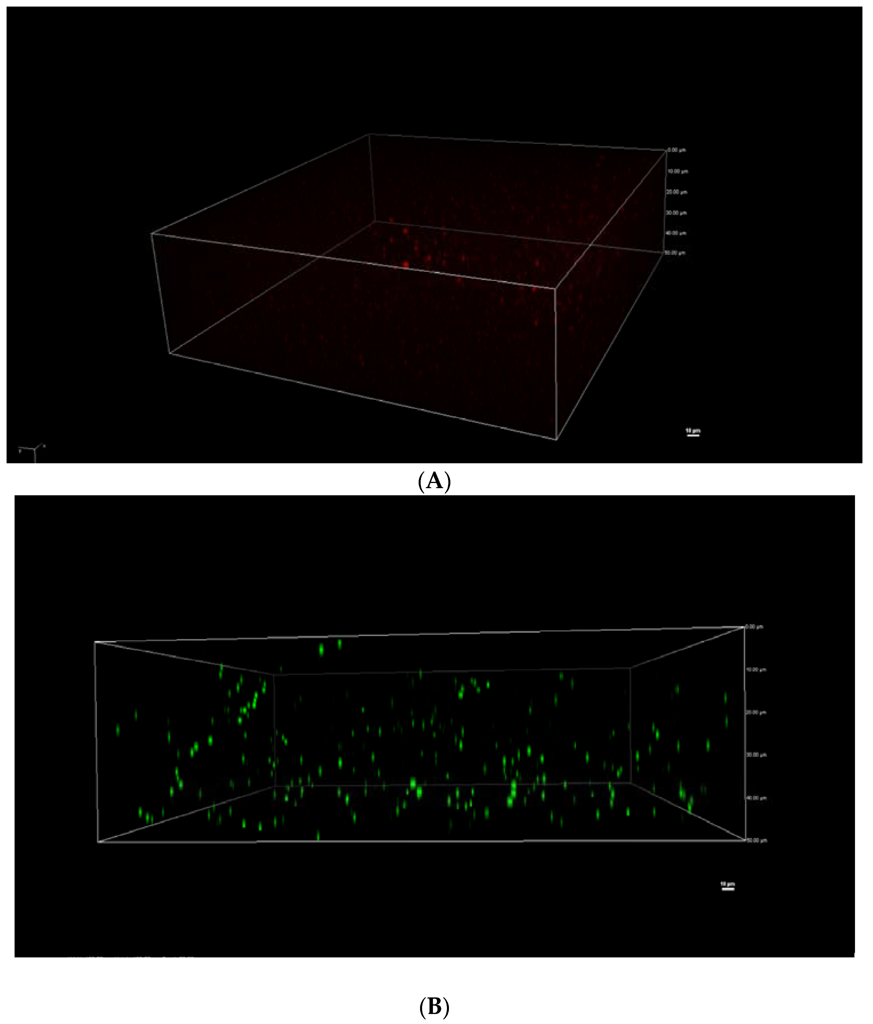 Nanomaterials 08 00307 g001