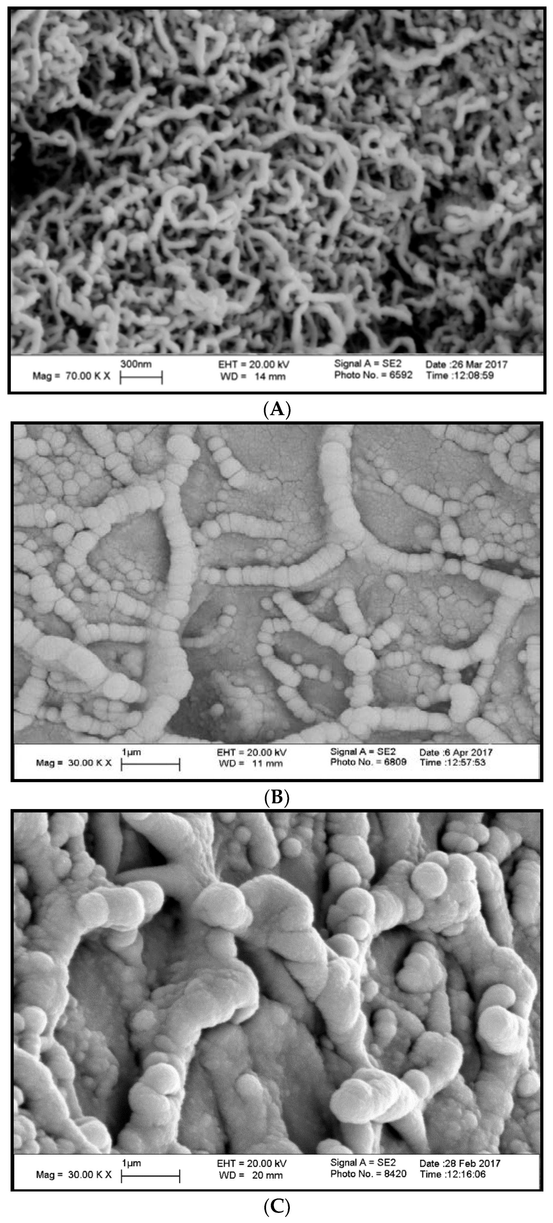 Nanomaterials 08 00309 g003 Nanomaterials 08 00309 g003