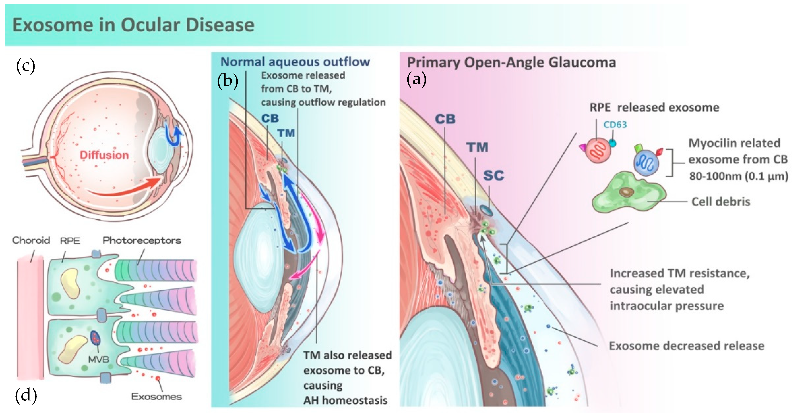 Nanomaterials 08 00310 g001