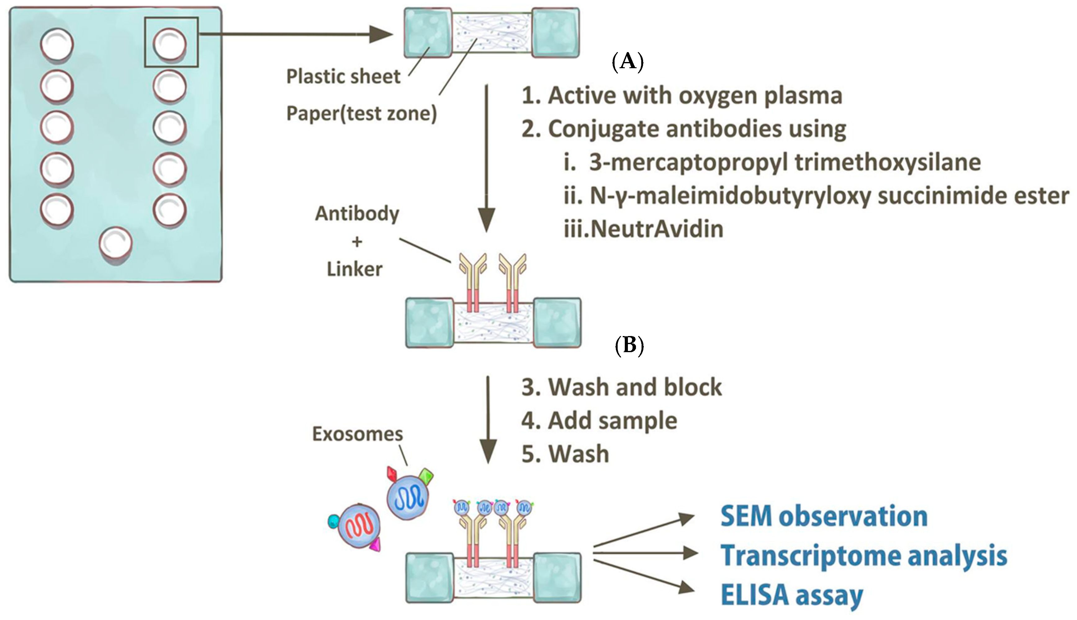 Nanomaterials 08 00310 g002