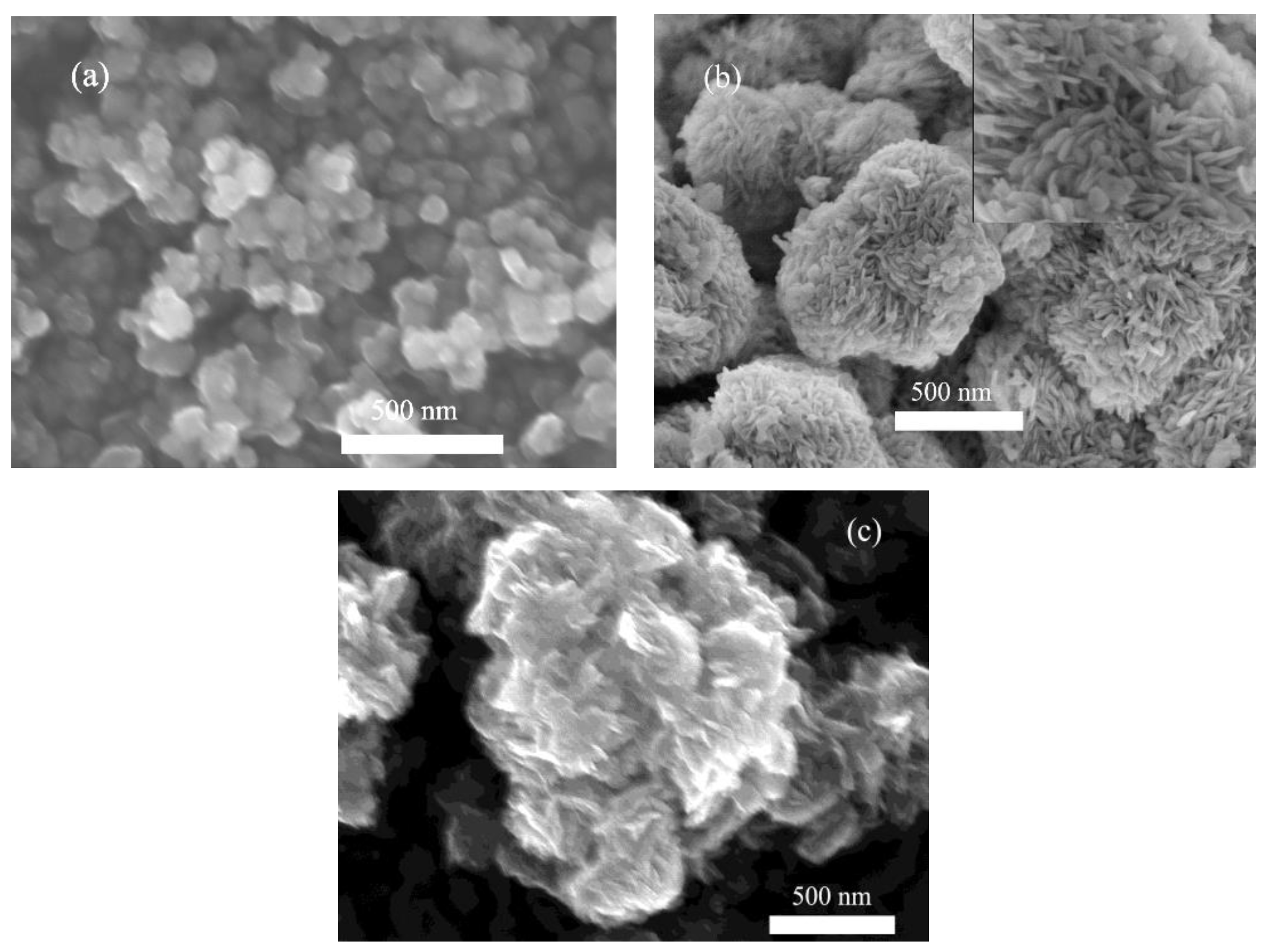 Nanomaterials 08 00313 g001