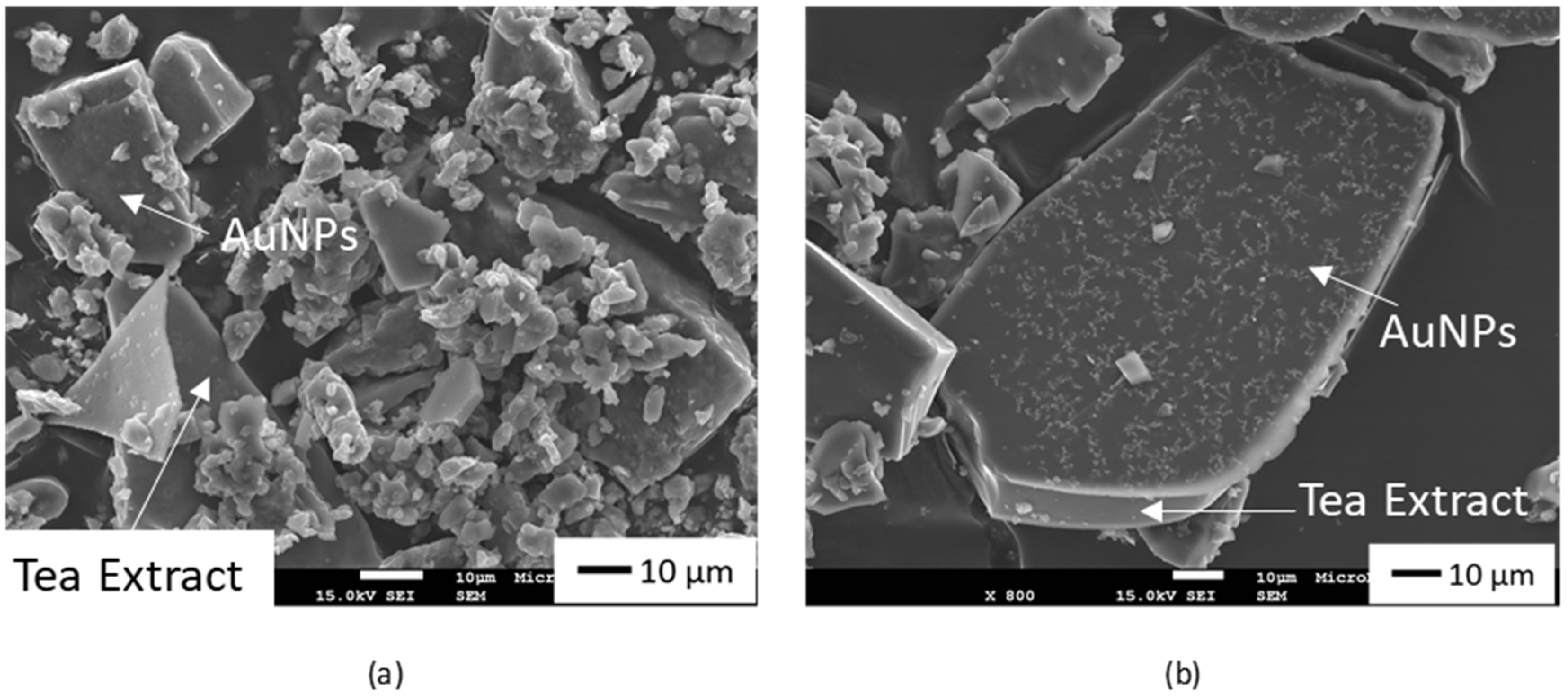 Nanomaterials 08 00320 g004