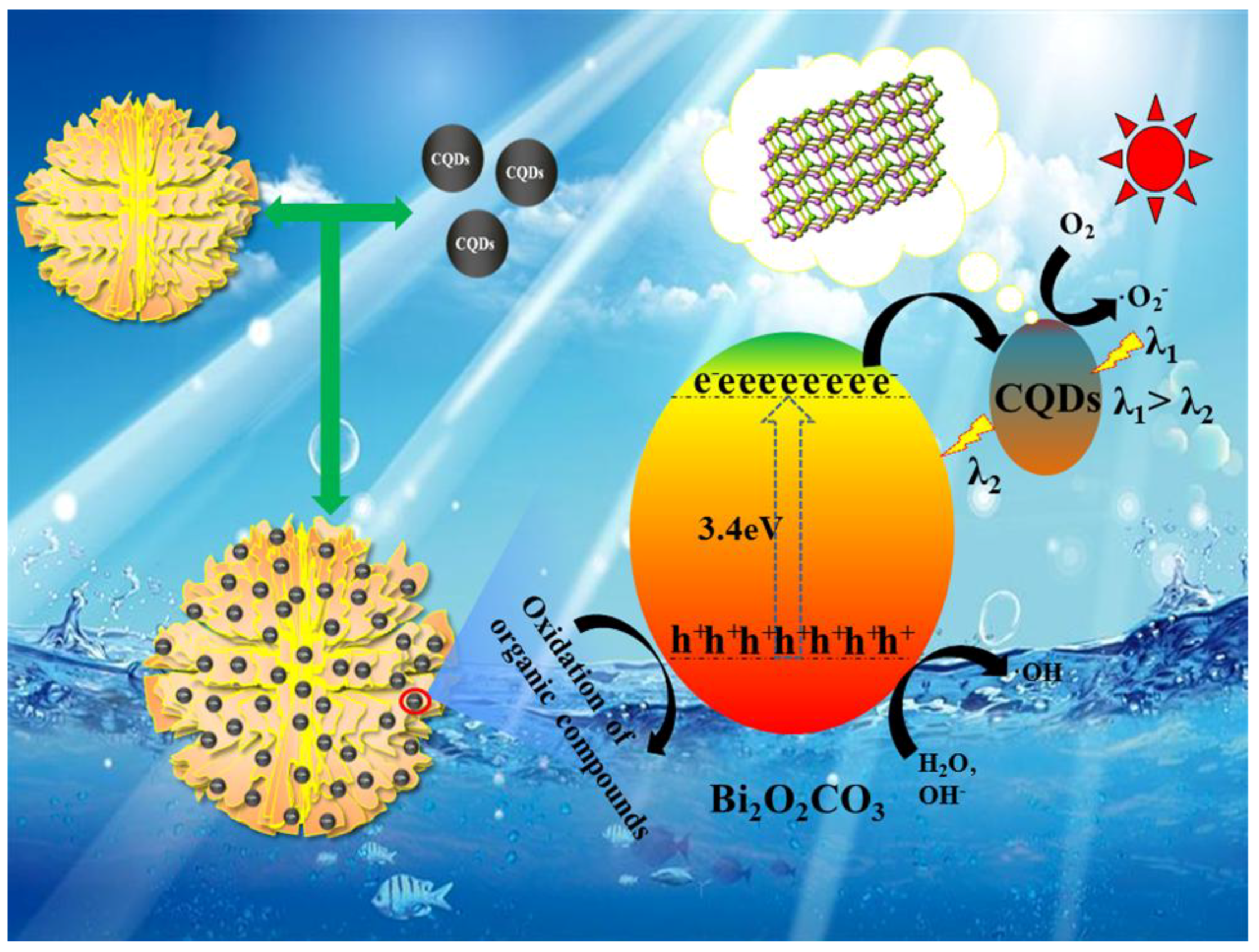 Nanomaterials 08 00330 g012