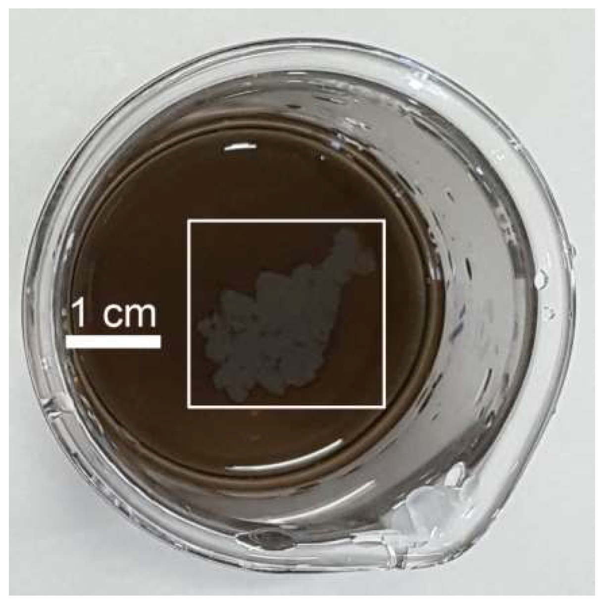 Nanomaterials 08 00332 g001 Nanomaterials 08 00332 g001