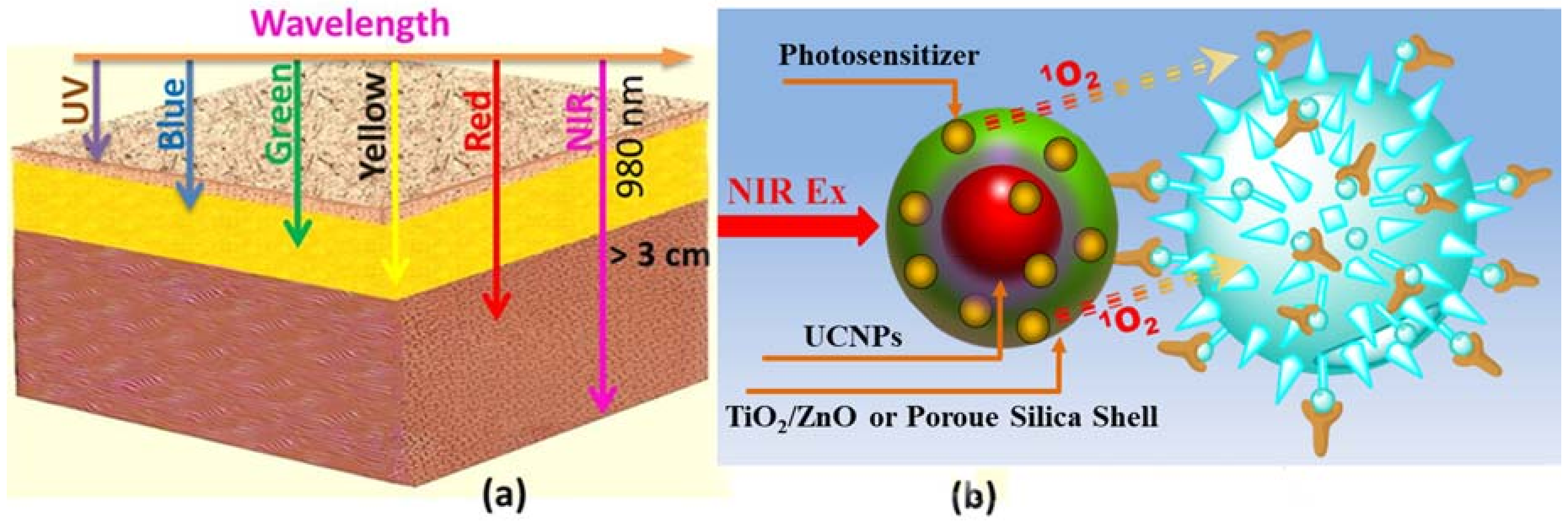 Nanomaterials 08 00344 g001